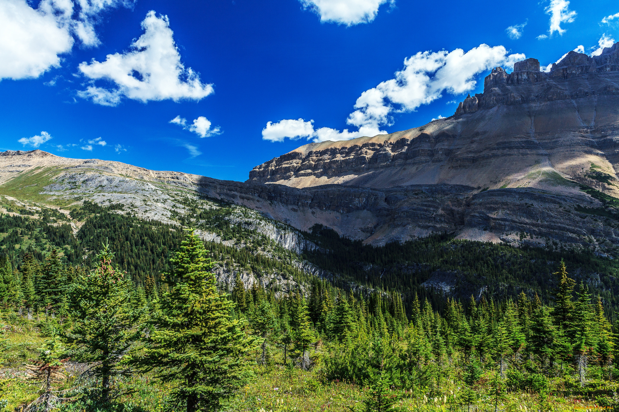 природа, горы, простор