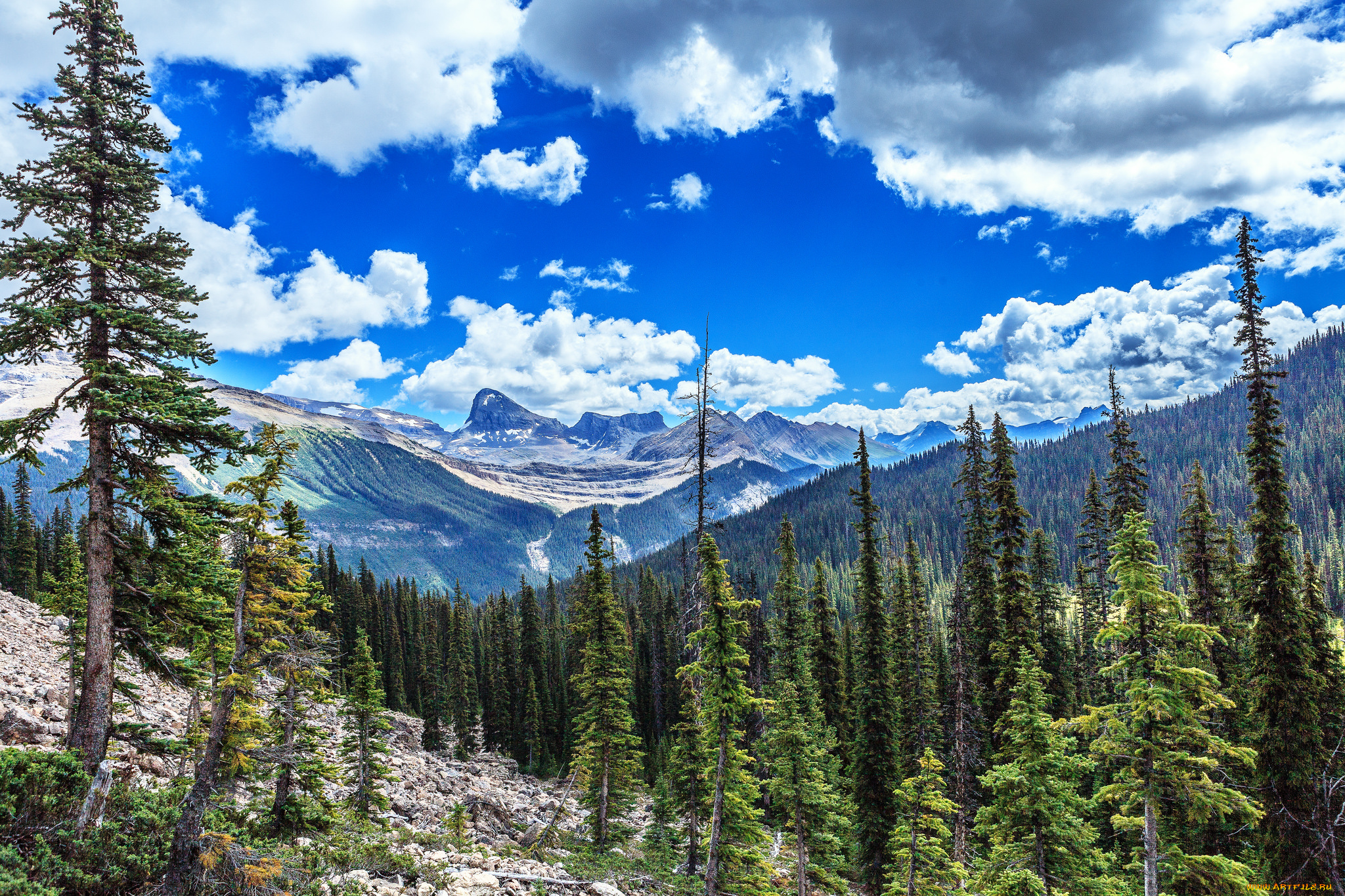 природа, горы, простор