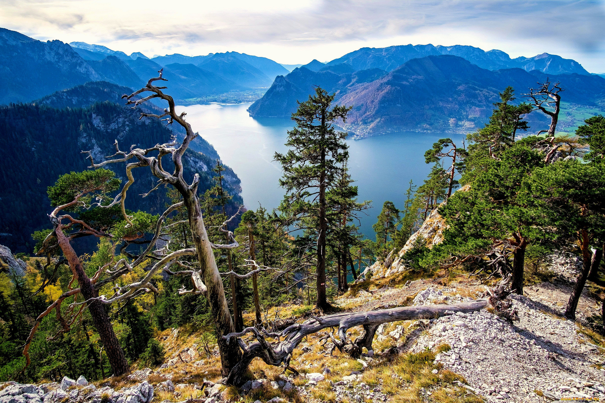 природа, пейзажи, простор