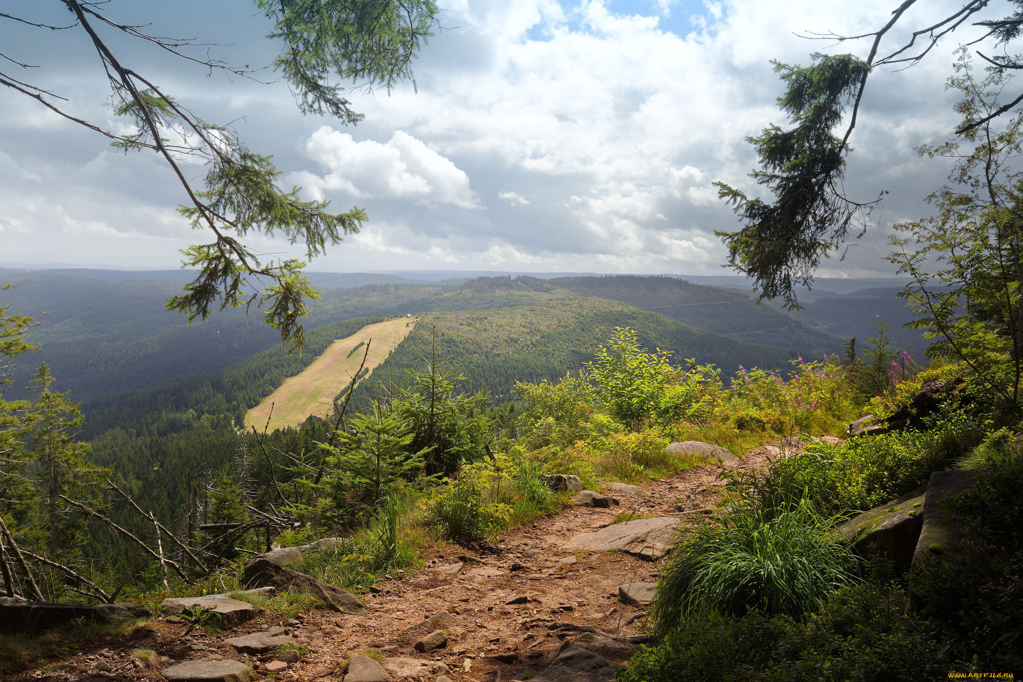 природа, пейзажи, простор