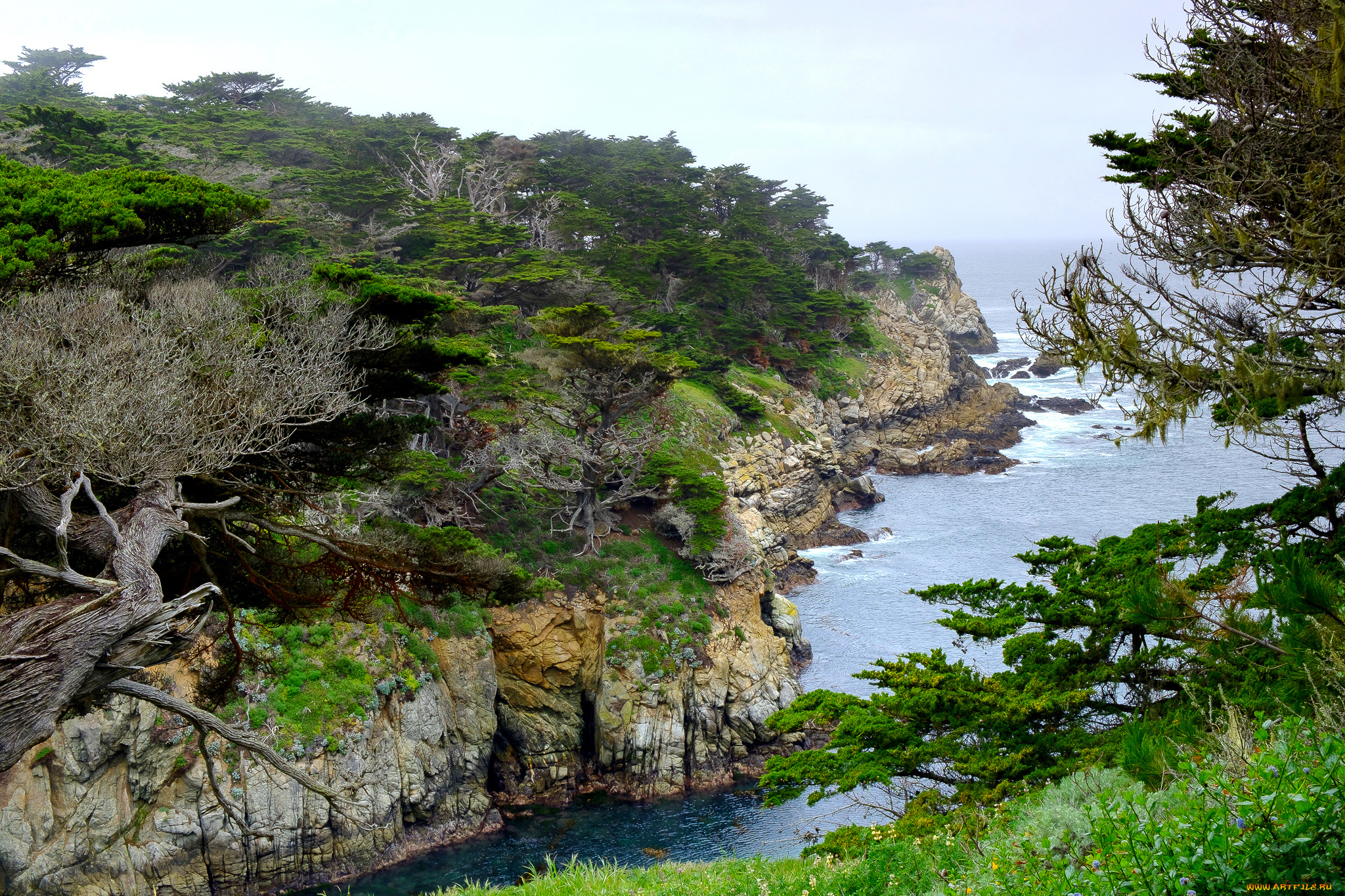 природа, побережье, простор