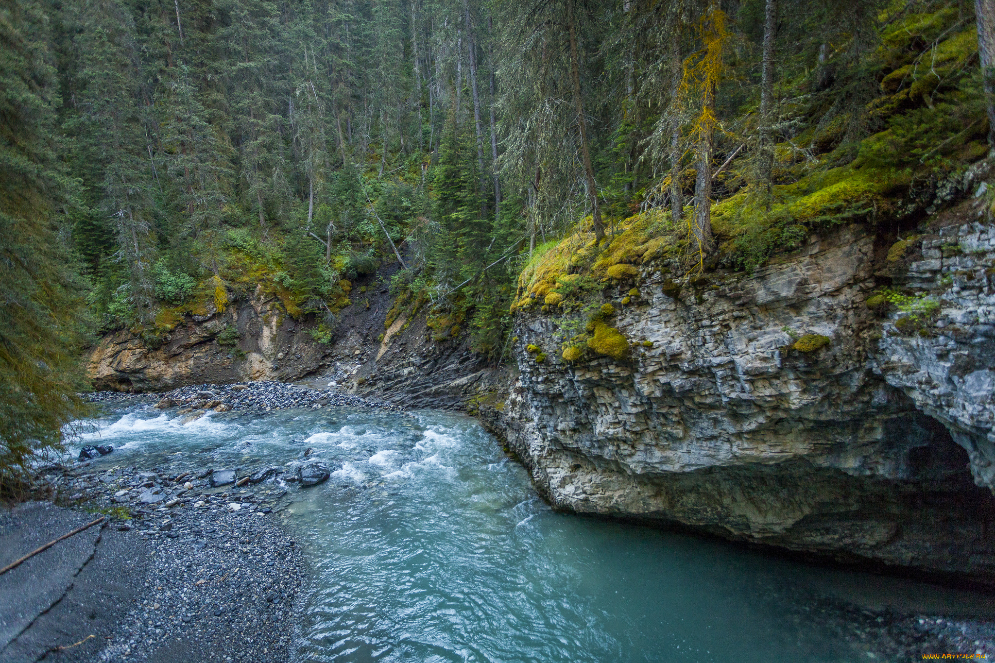 природа, реки, озера, простор