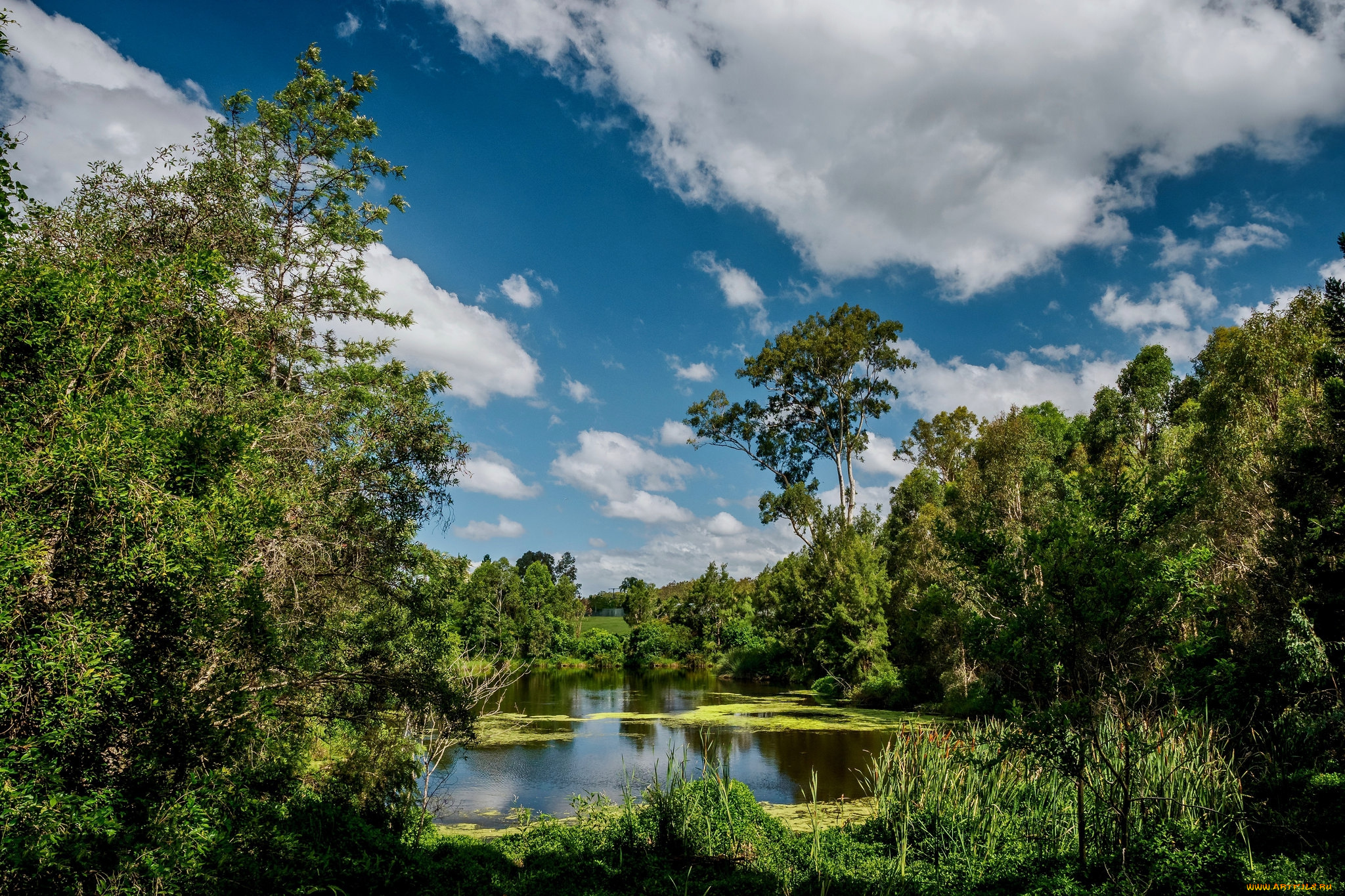 природа, реки, озера, простор