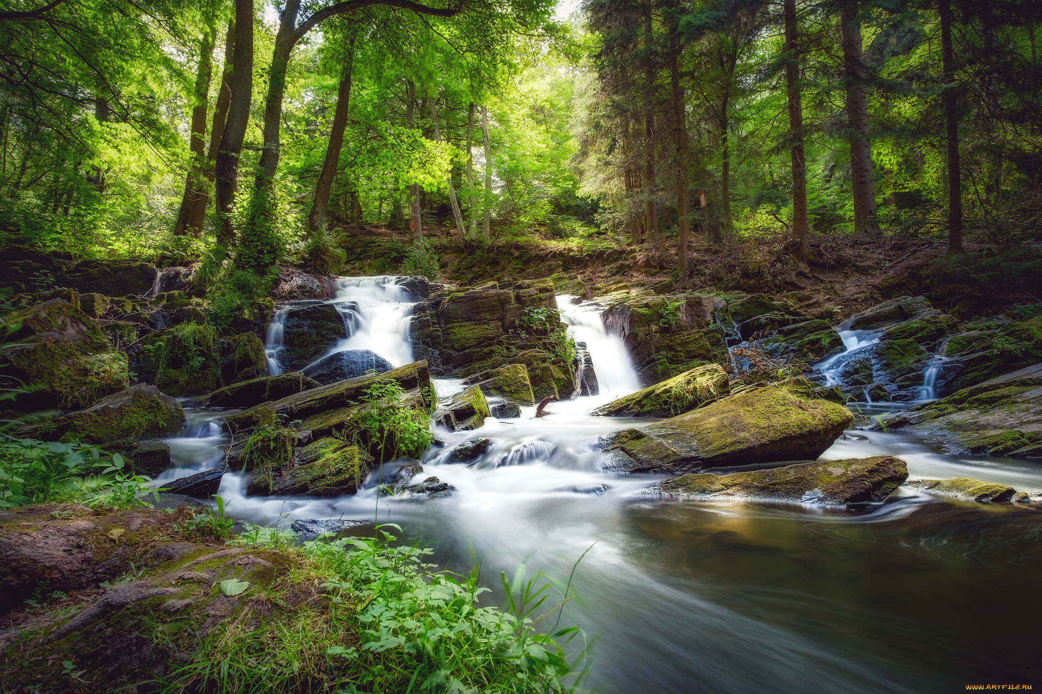 природа, реки, озера, простор