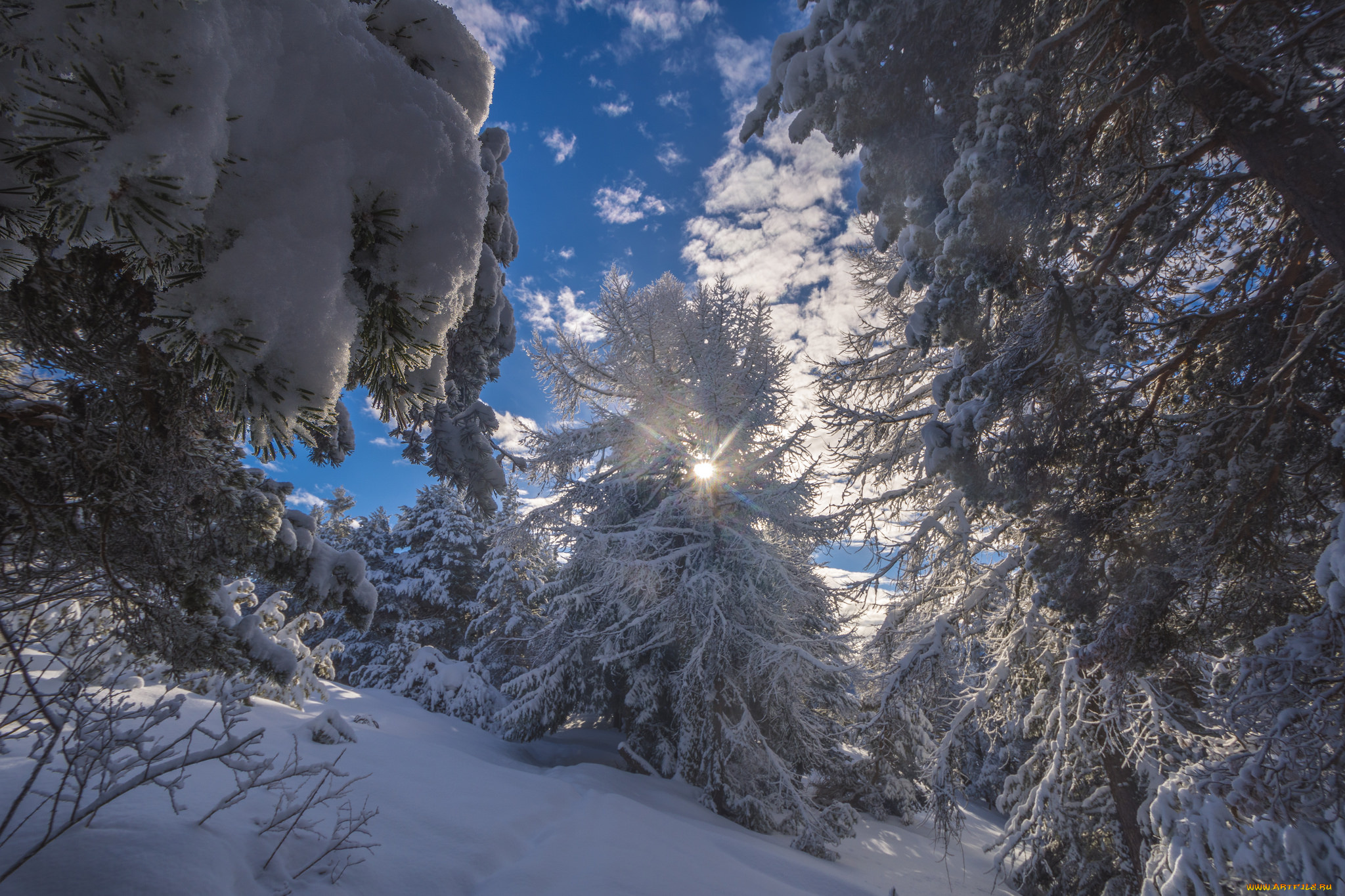 природа, зима, простор