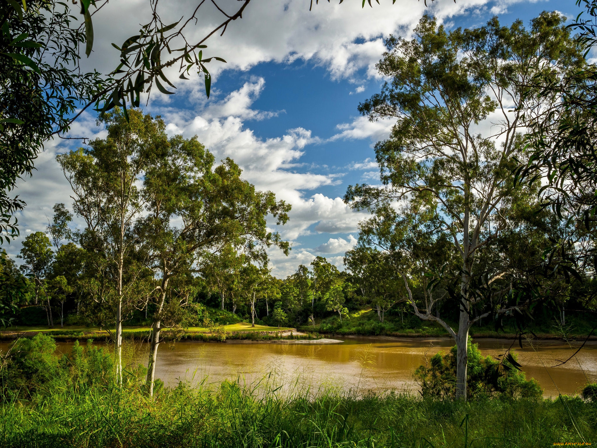 природа, реки, озера, простор