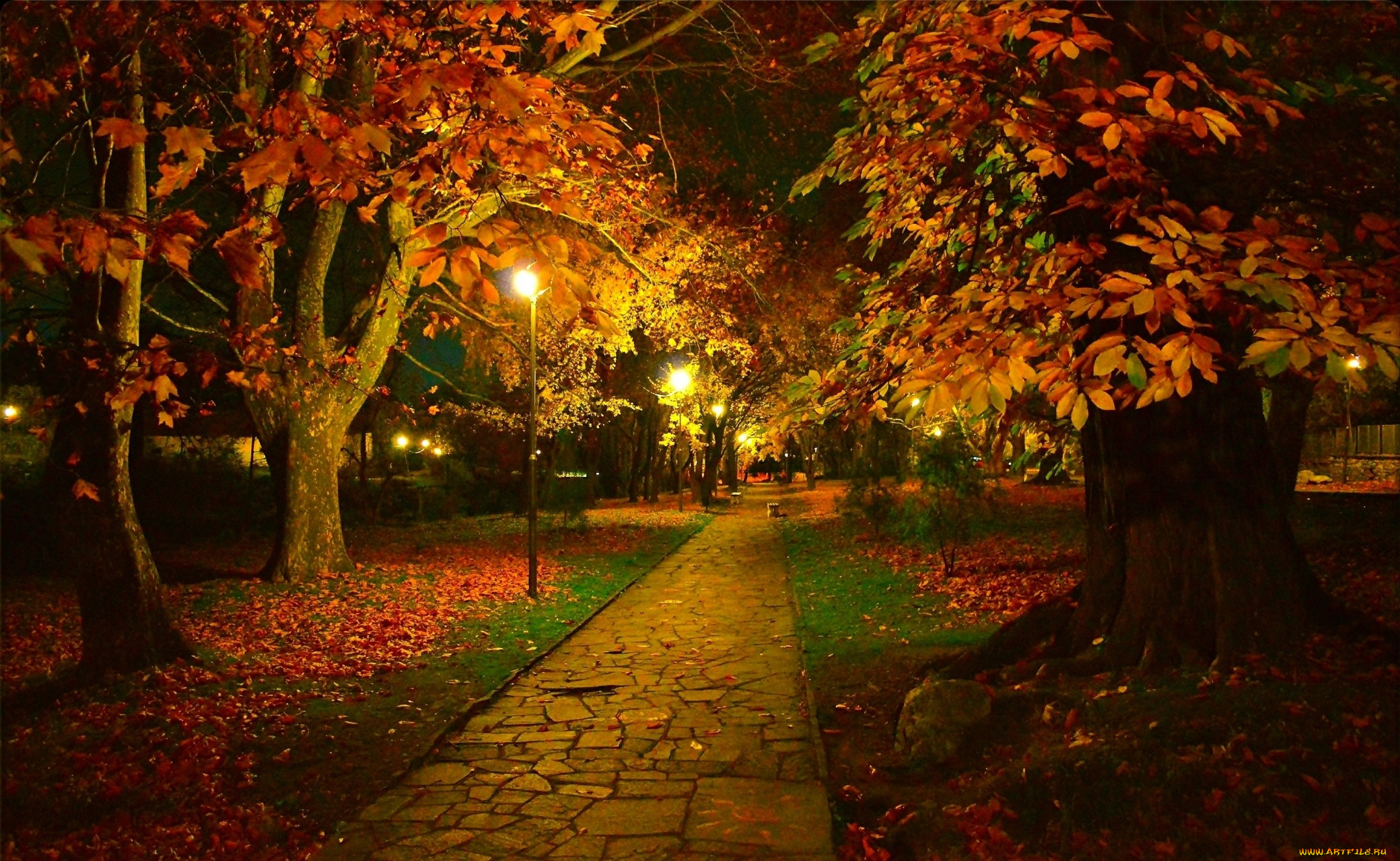 природа, парк, осень, листопад