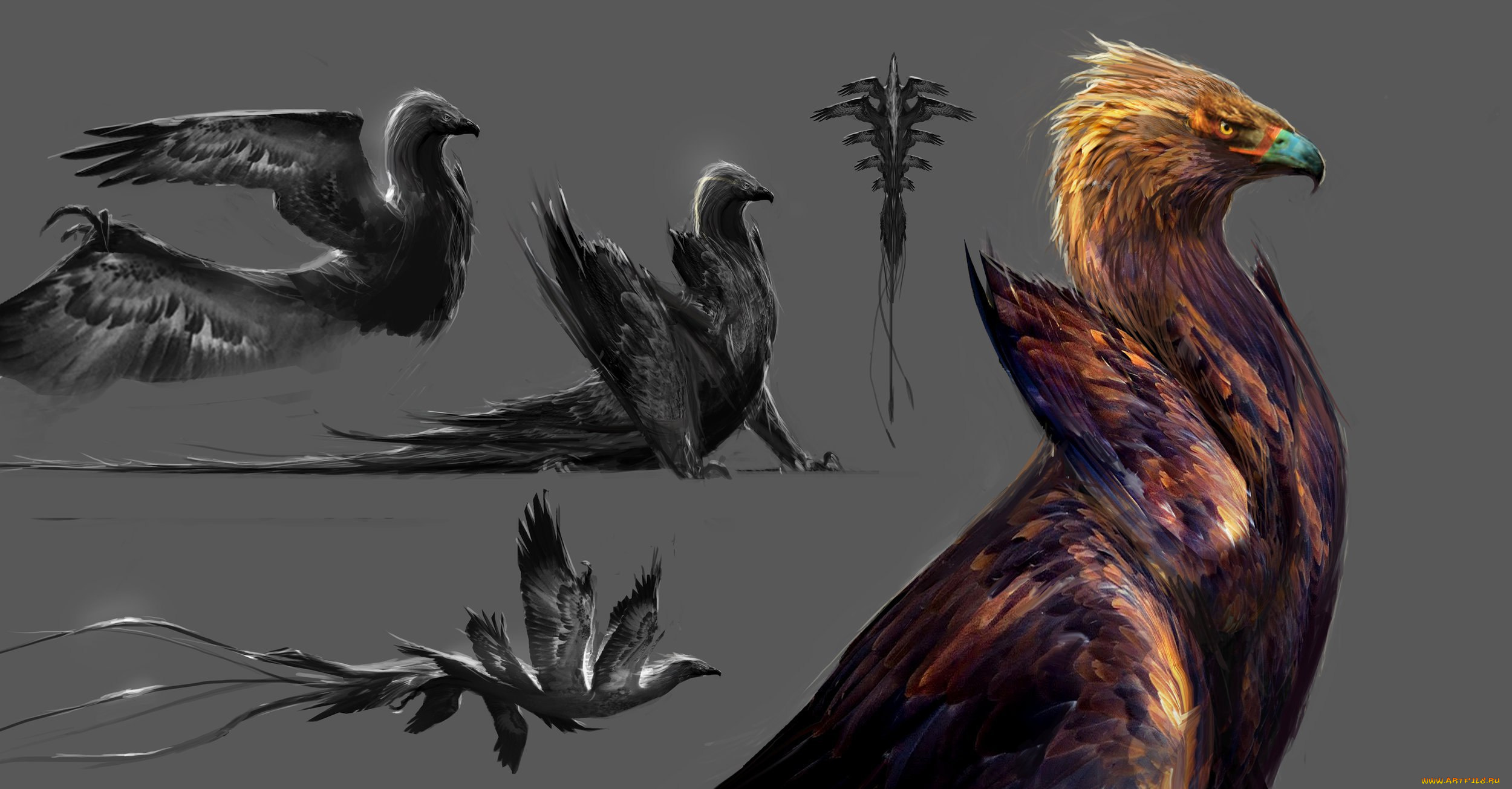 рисованное, животные, , сказочные, , мифические, хищник, птица, крылья