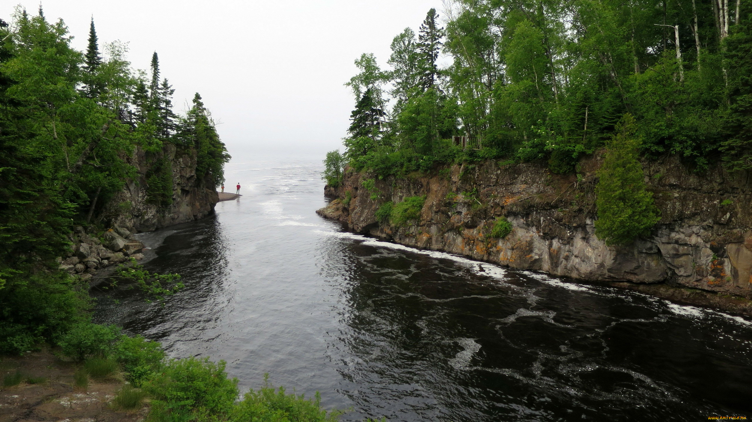 природа, реки, озера, река, лес