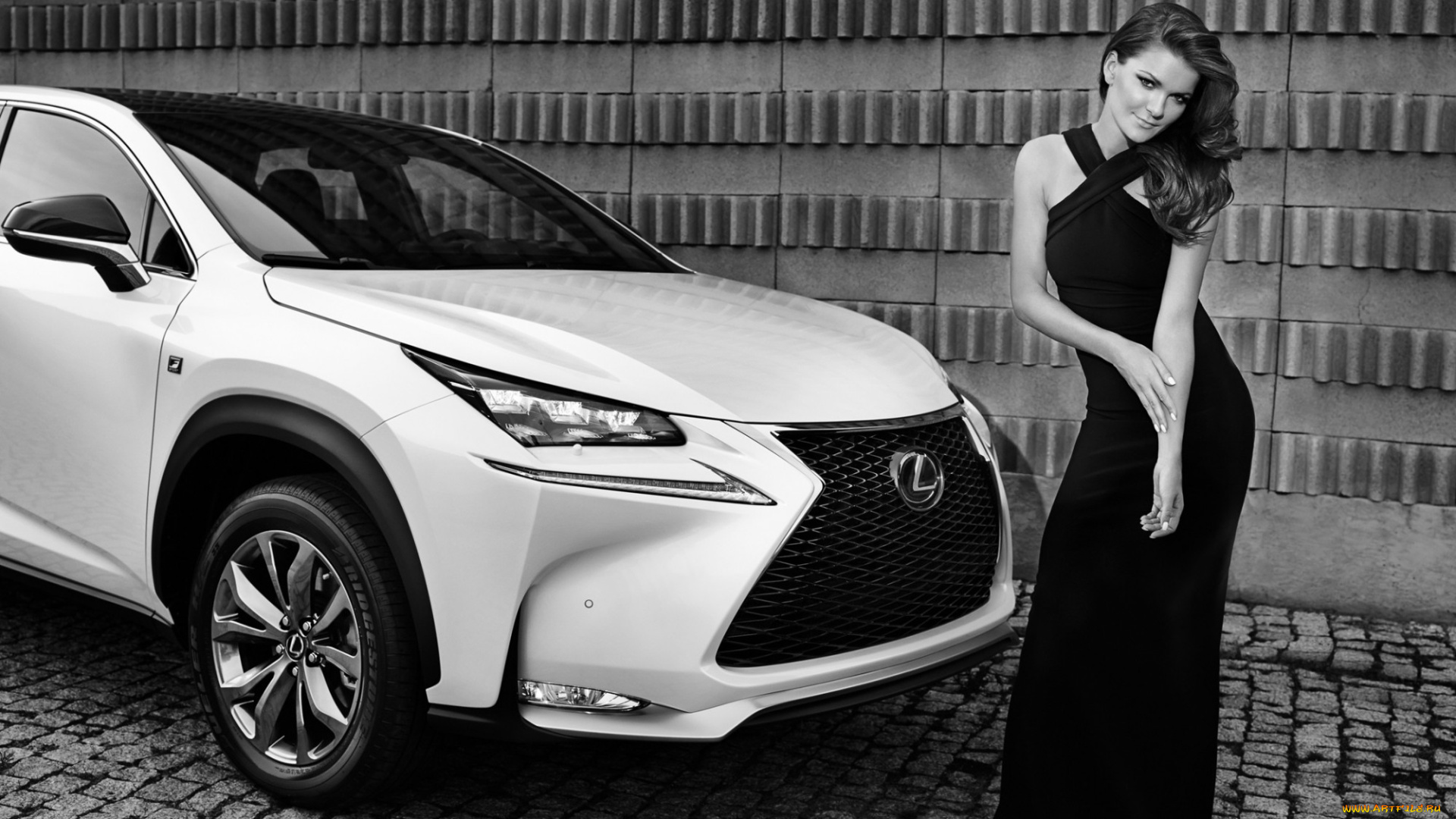 автомобили, -авто, с, девушками, agnieska, radwanska, lexus, nx, 300h, монохром, теннис, автомобиль, лексус