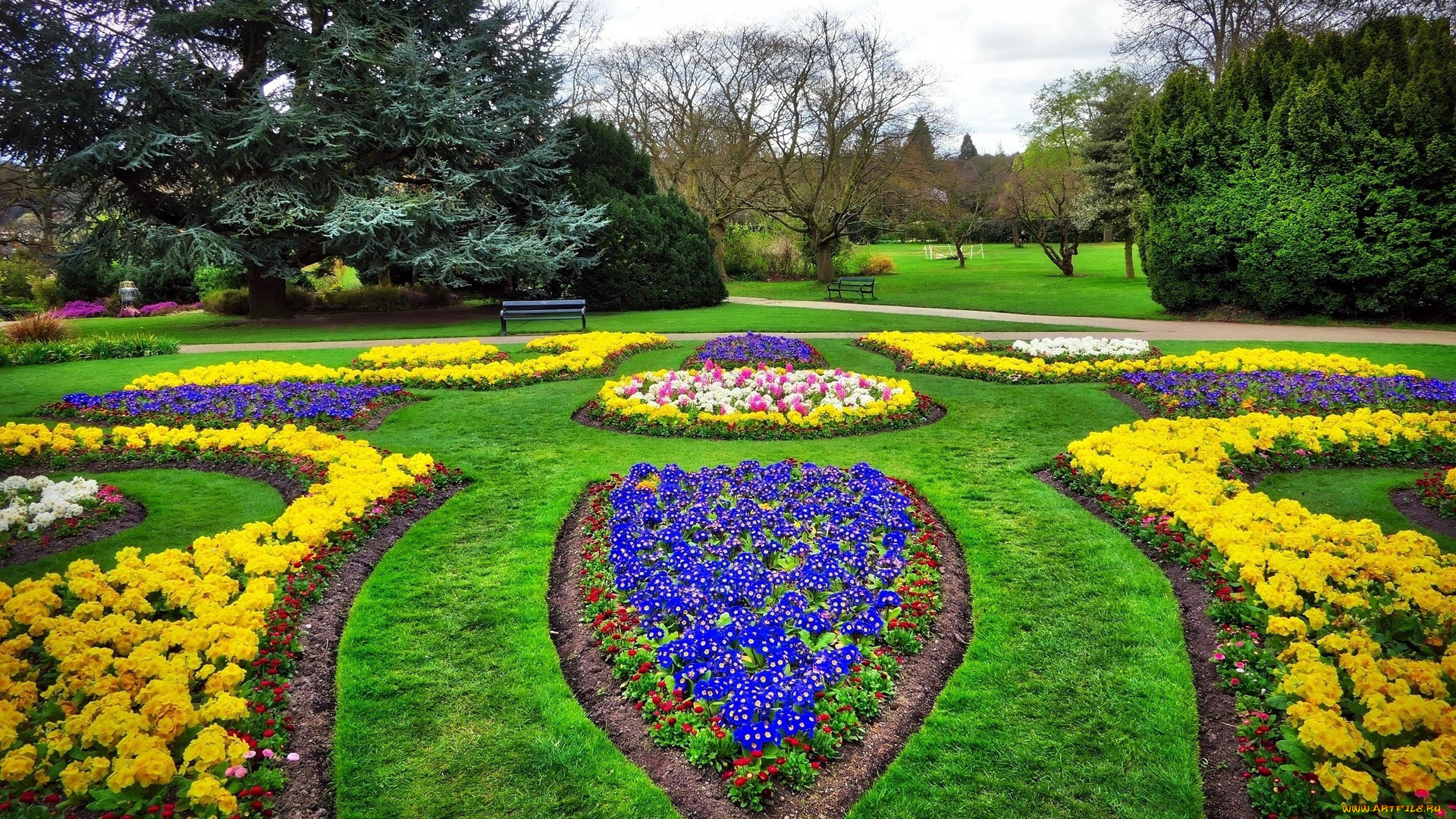 природа, парк, клумбы