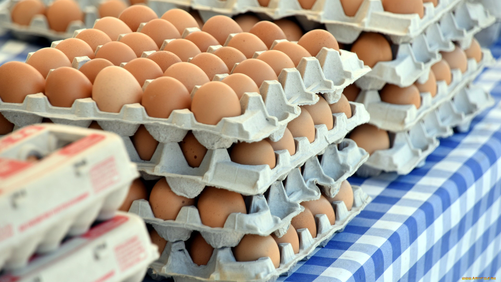 еда, яйца, свежие, много