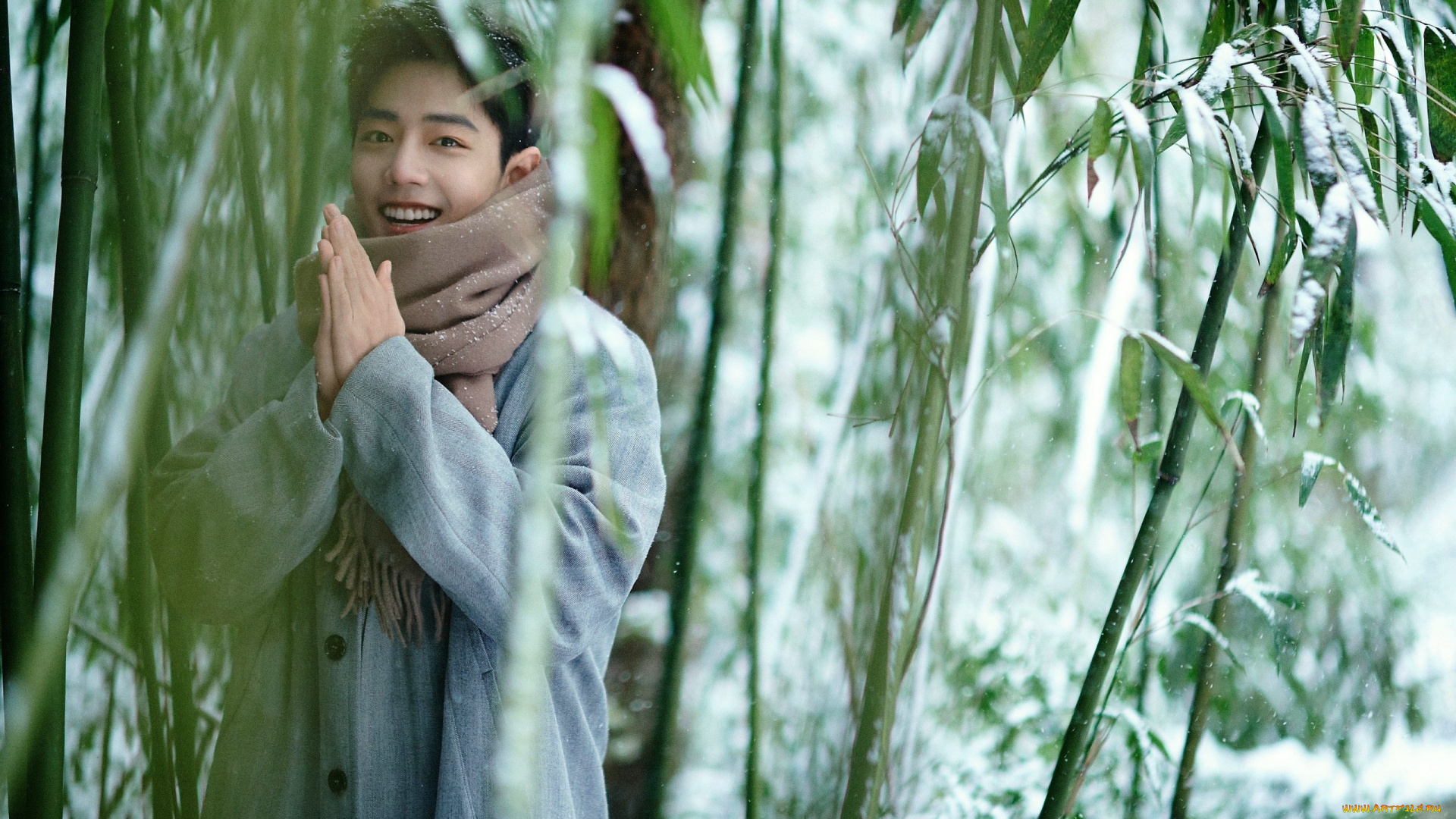 мужчины, xiao, zhan, актер, шарф, снег, бамбук, пальто