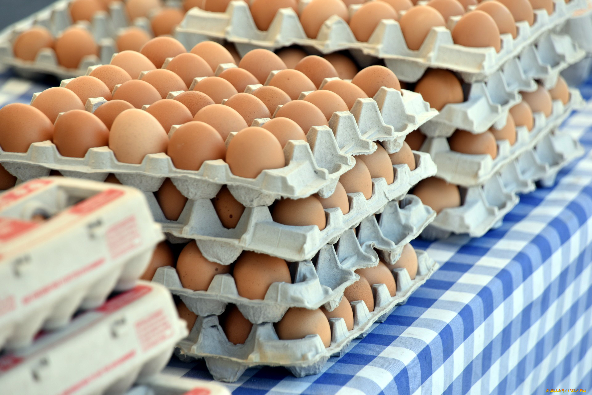 еда, яйца, свежие, много