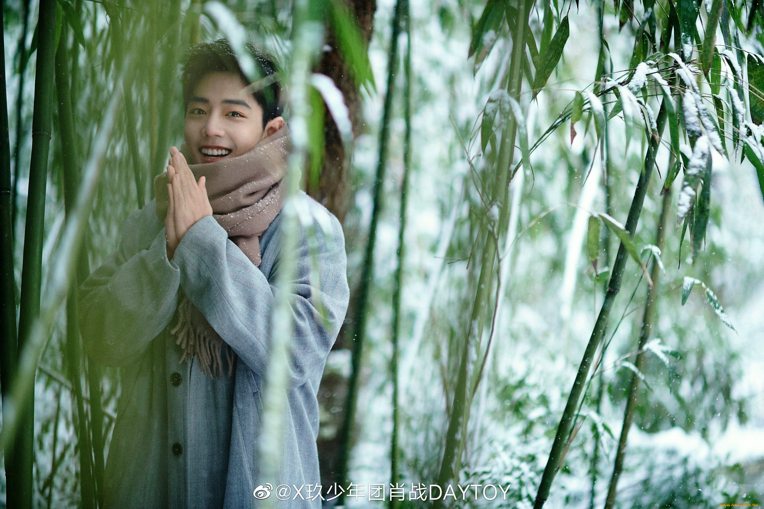 мужчины, xiao, zhan, актер, шарф, снег, бамбук, пальто