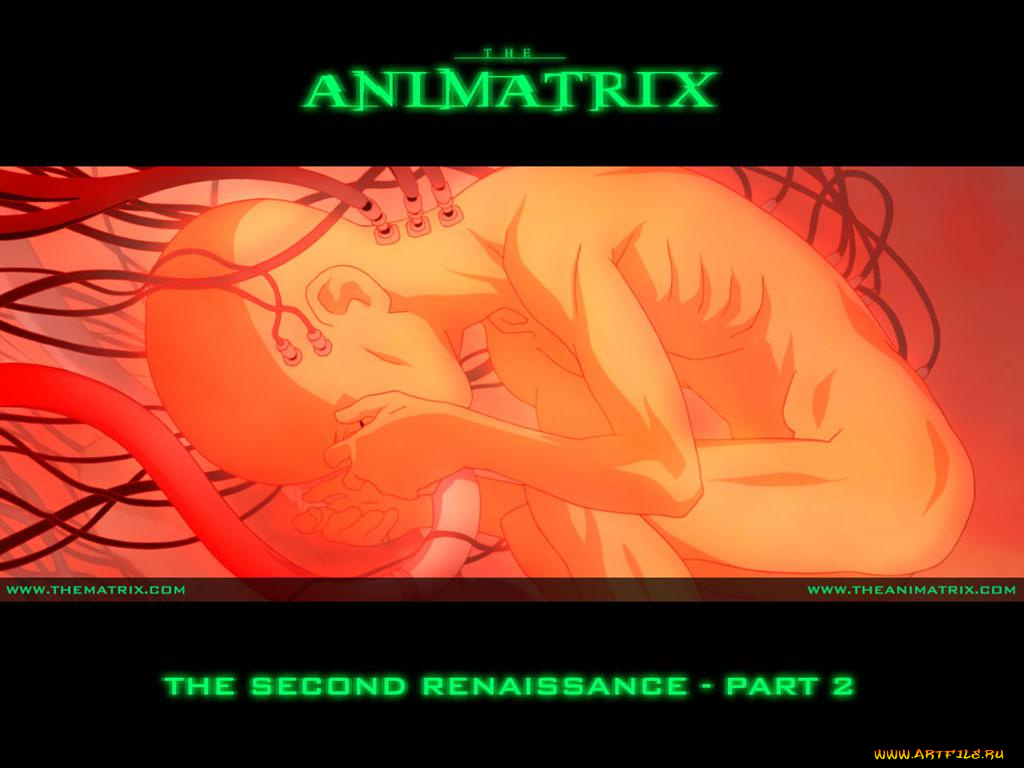 аниме, animatrix