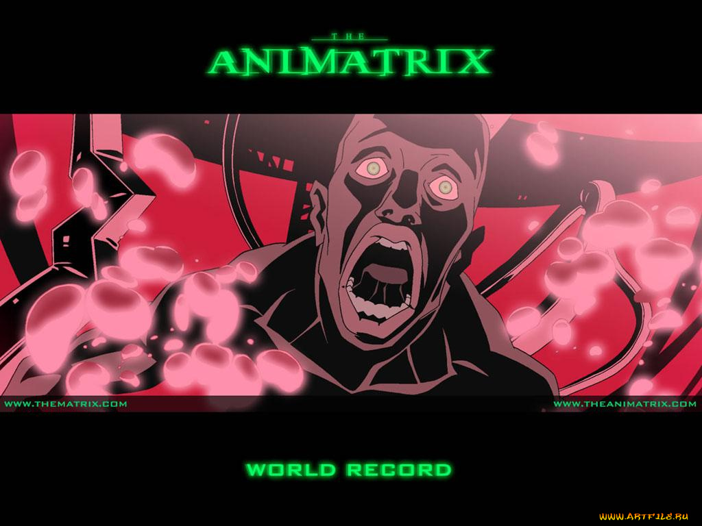 аниме, animatrix