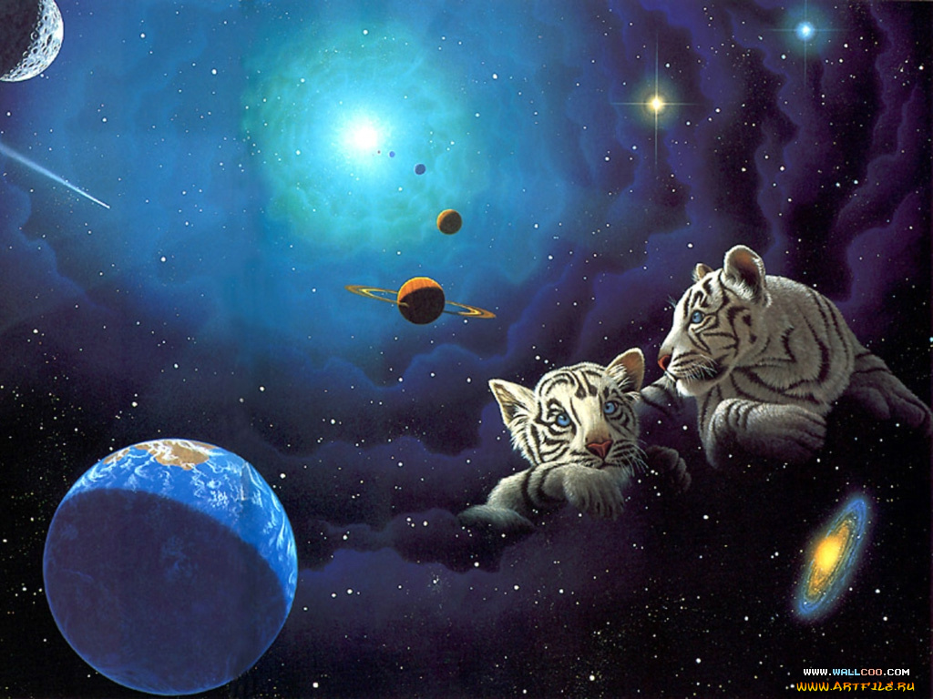 фэнтези, william, schimmel