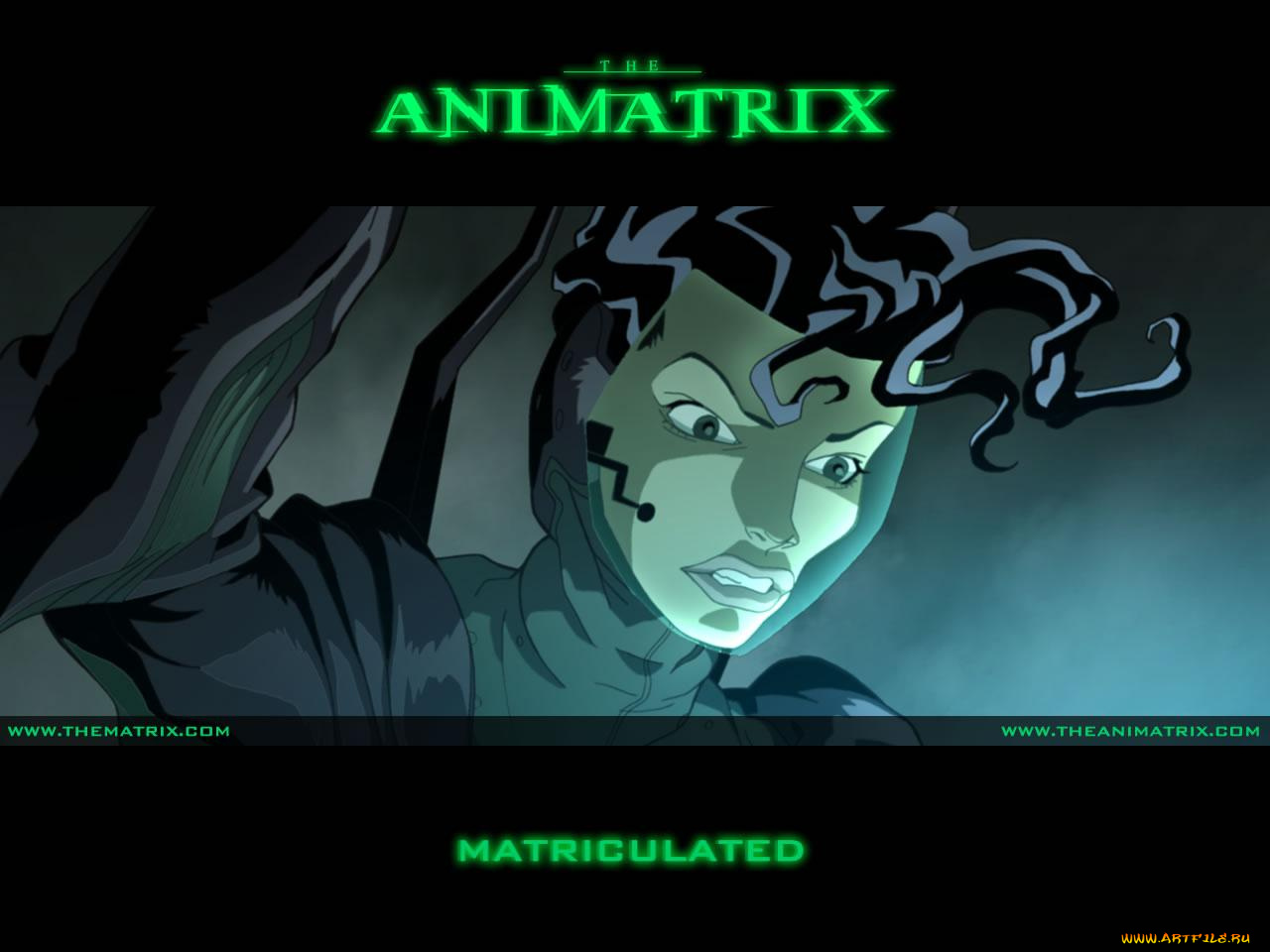 аниме, animatrix