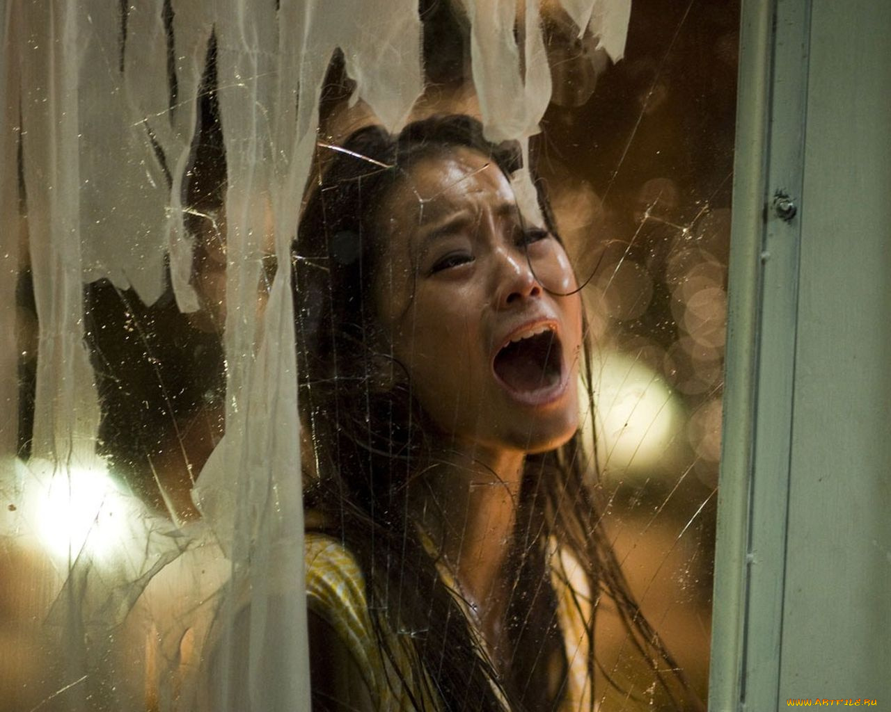 sorority, row, кино, фильмы