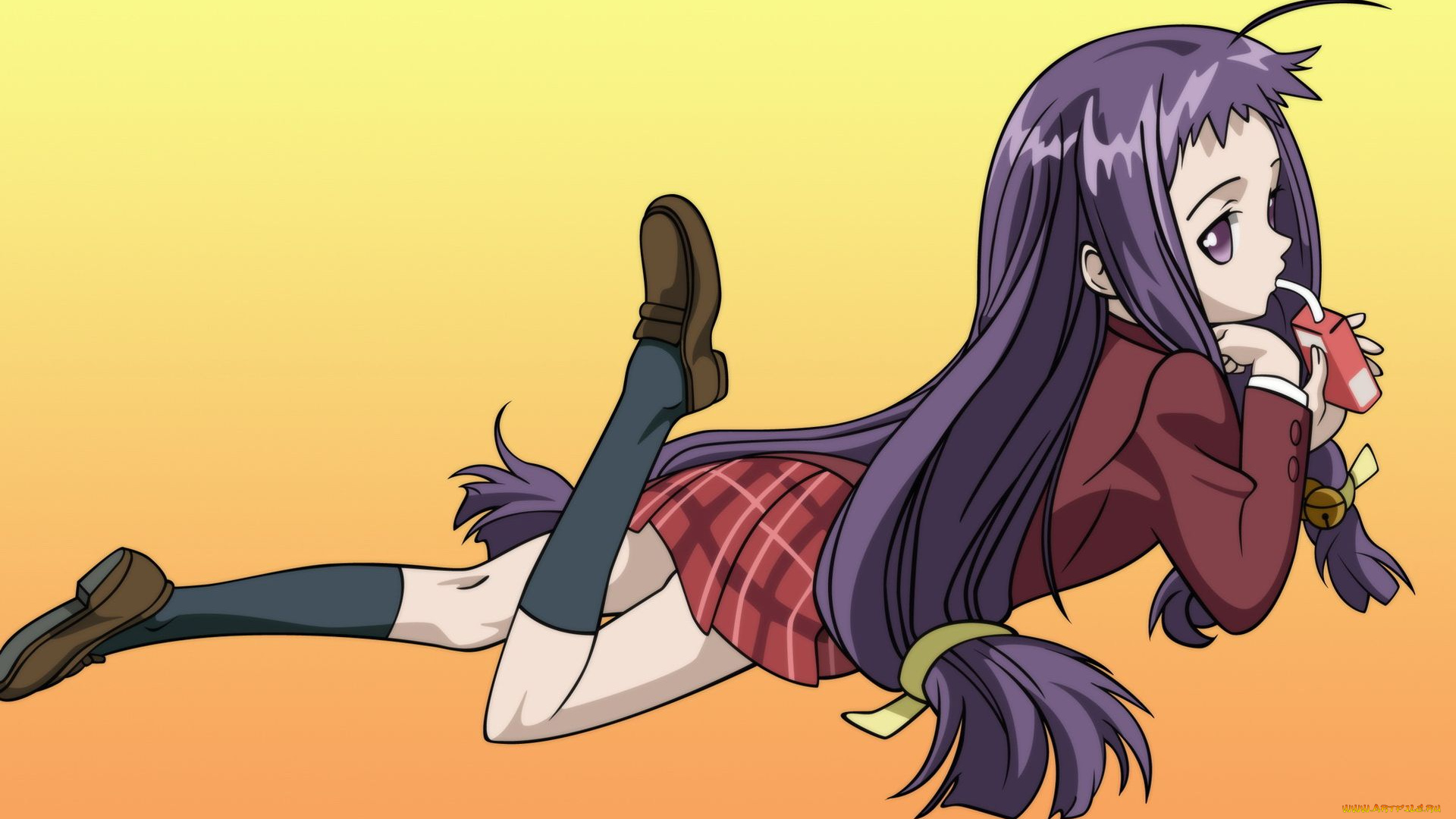 аниме, mahou, sensei, negima