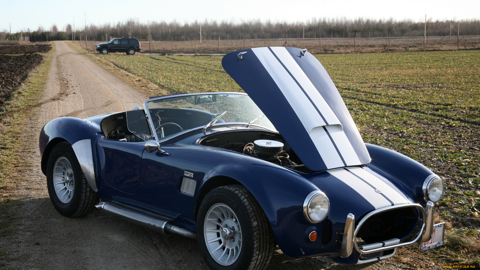 автомобили, ac, cobra, shelby