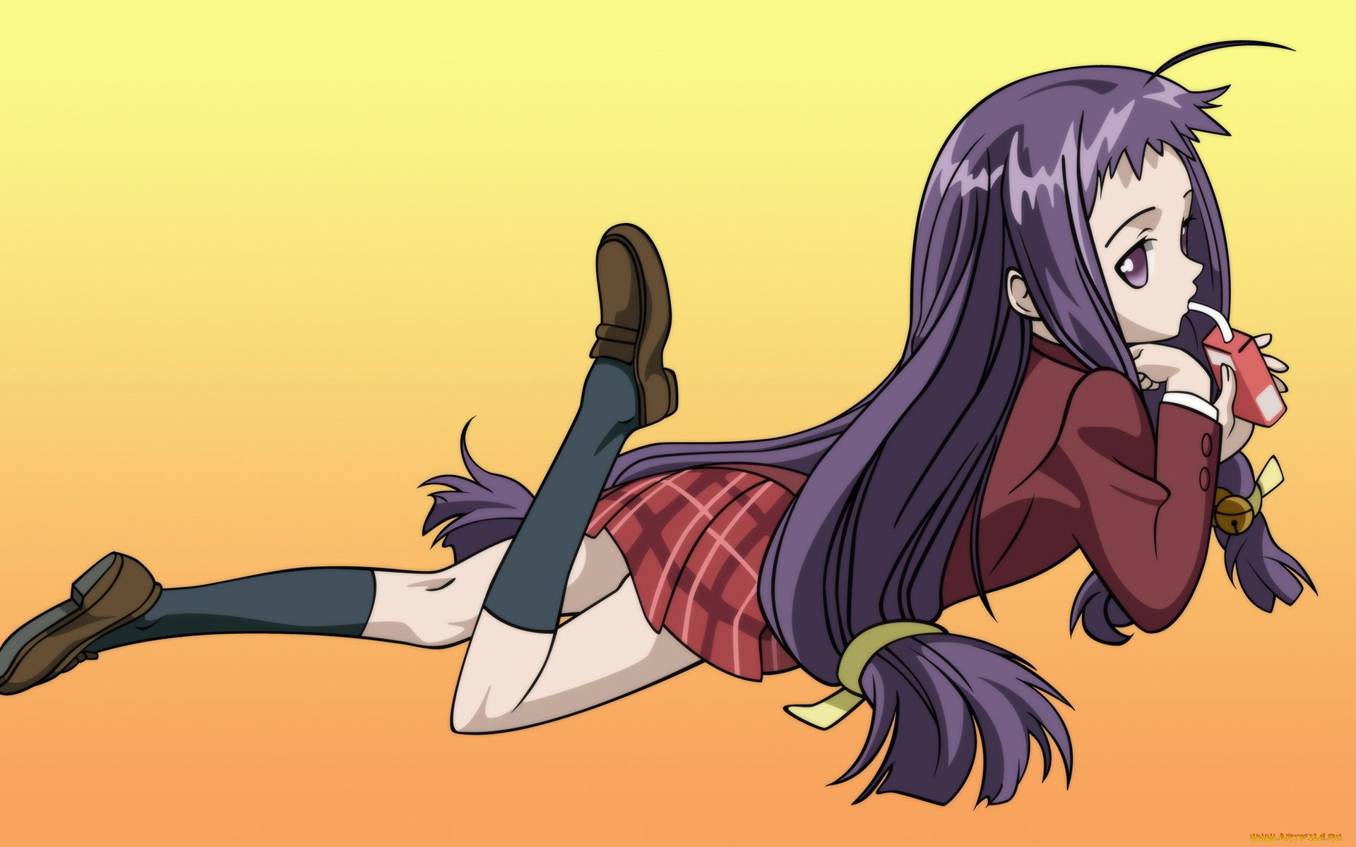 аниме, mahou, sensei, negima