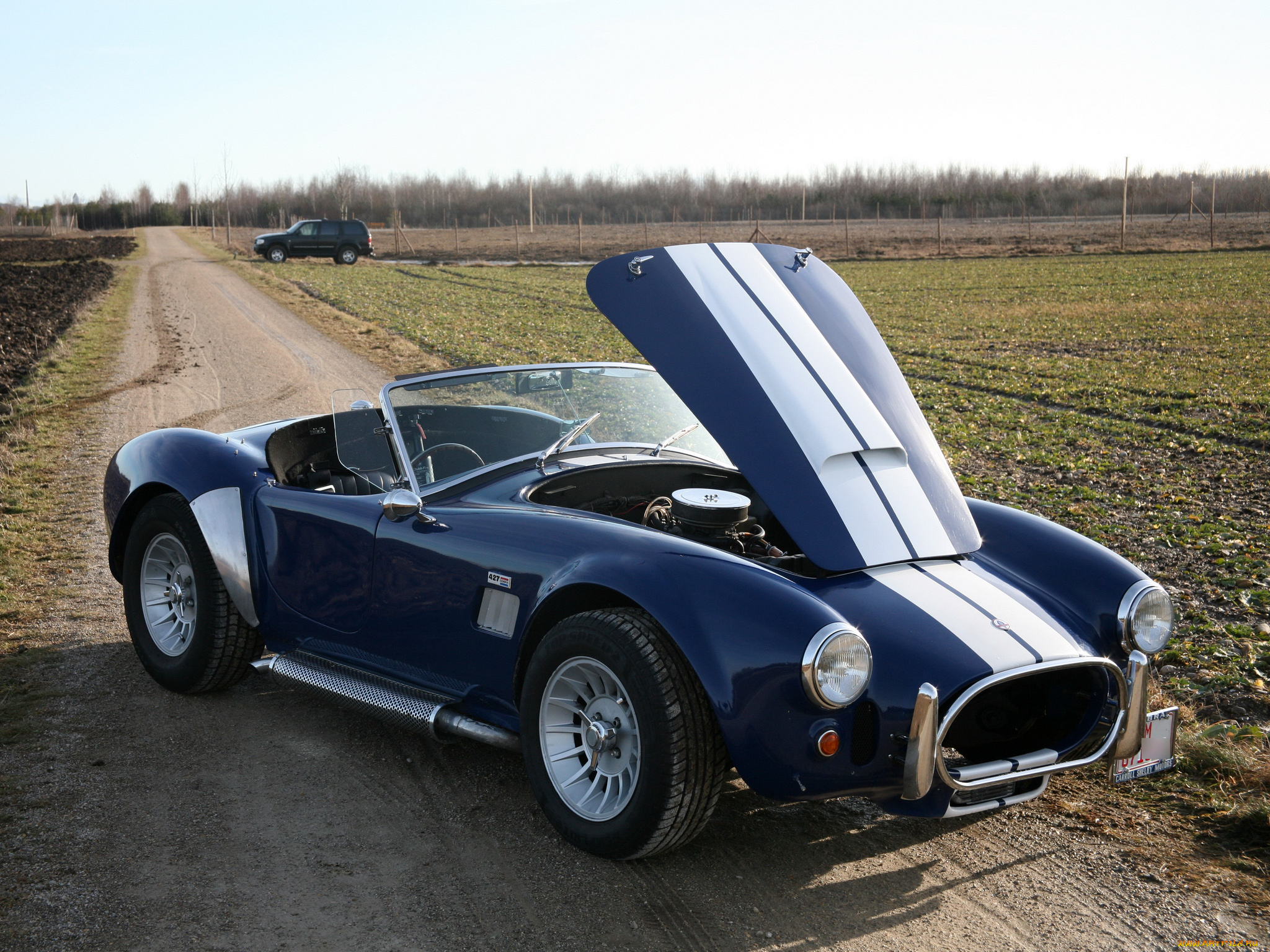 автомобили, ac, cobra, shelby