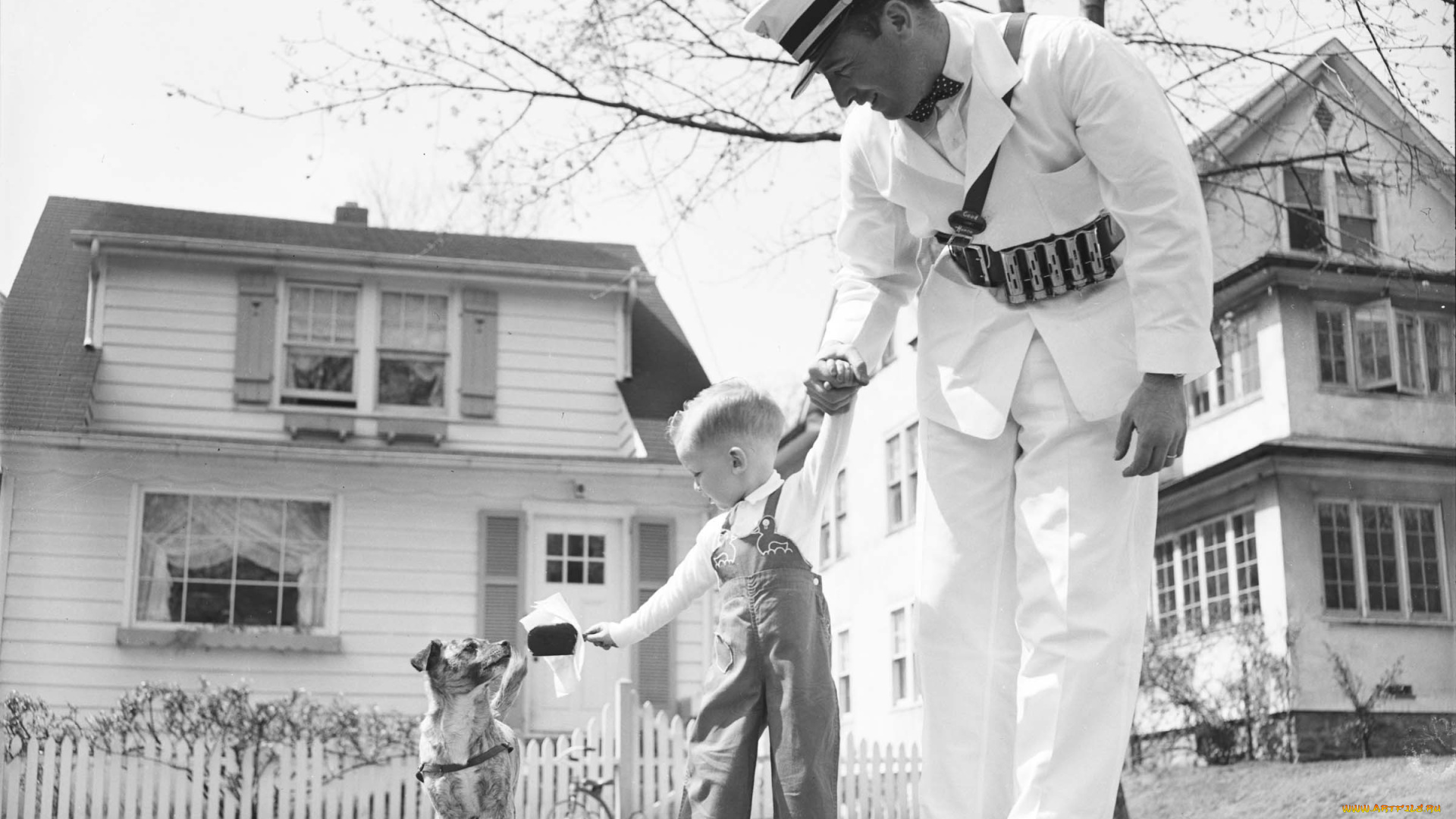 разное, ретро, винтаж, военный, собака, сын, мороженое, ребенок, отец