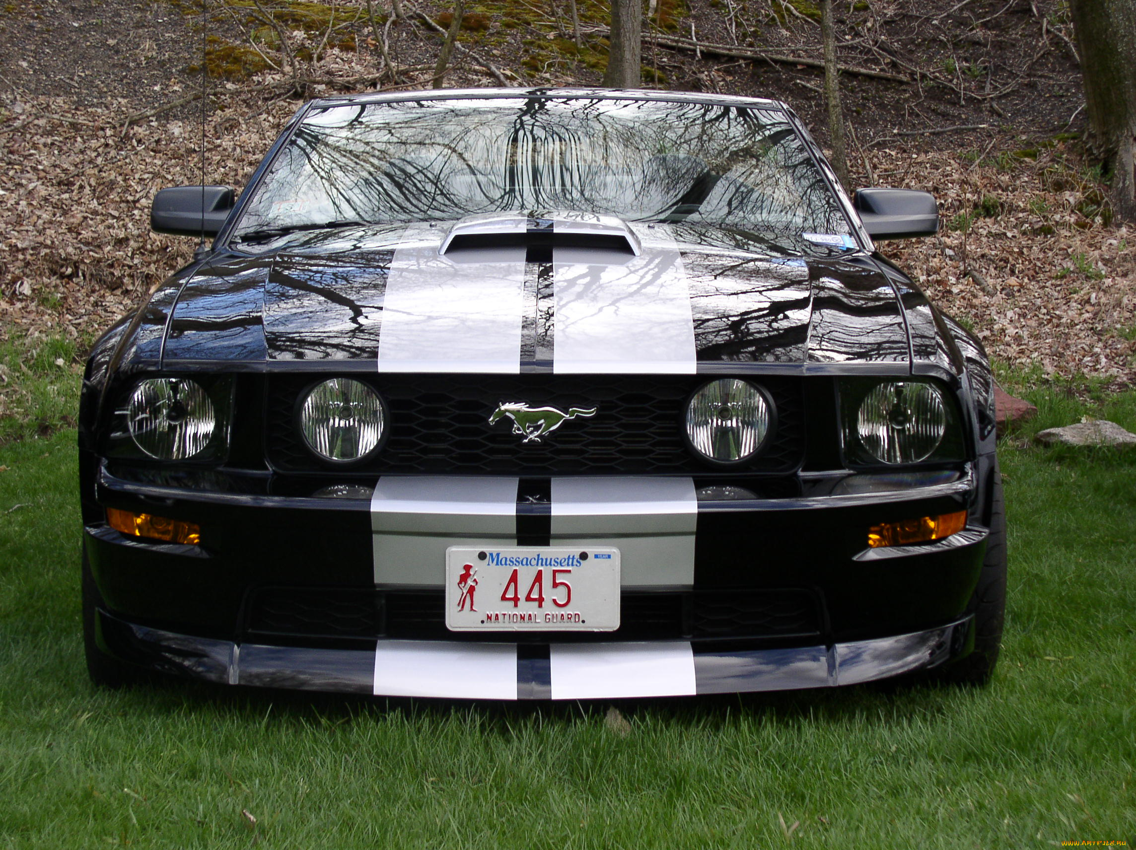 автомобили, mustang, мустанг