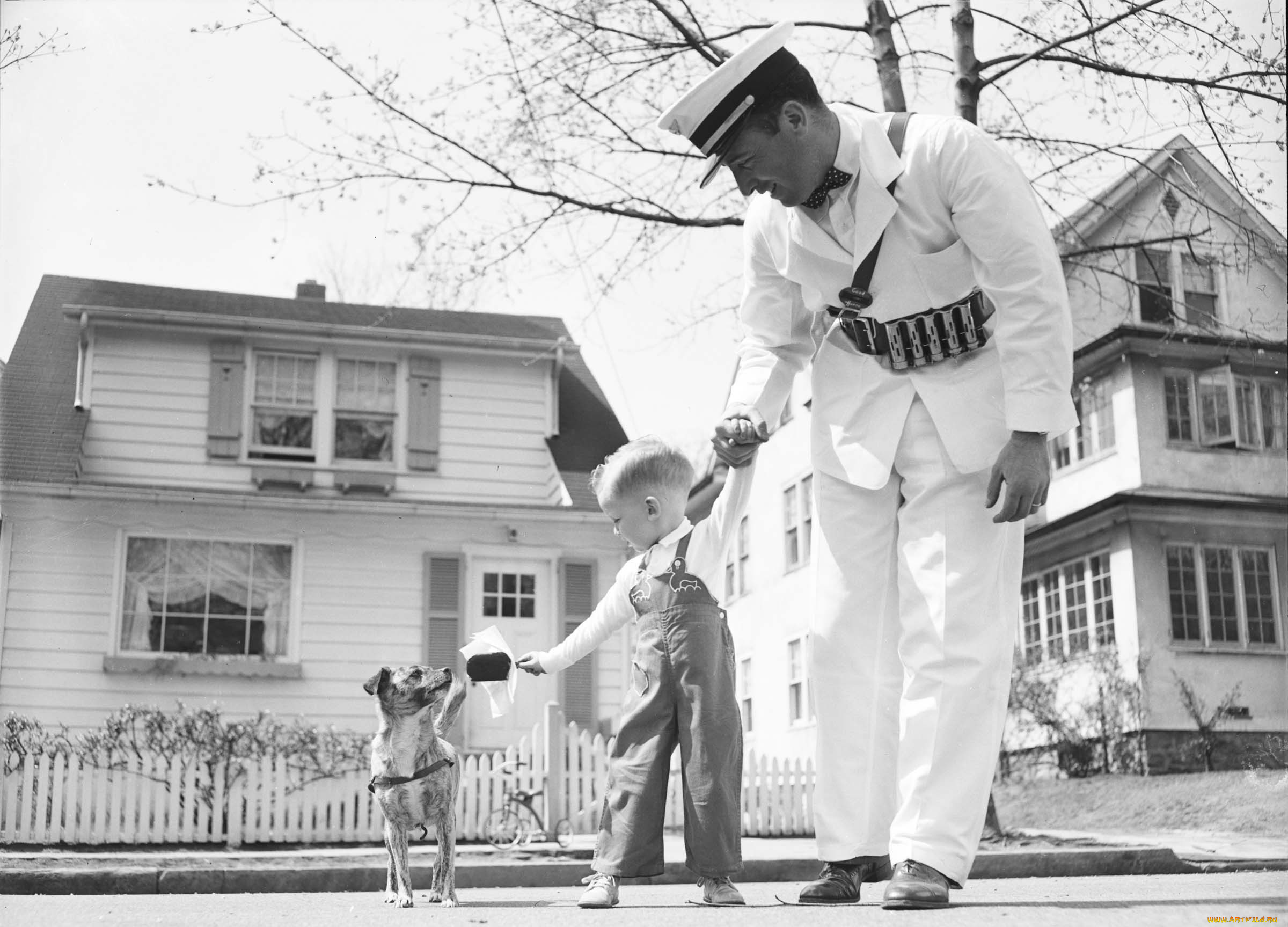 разное, ретро, винтаж, военный, собака, сын, мороженое, ребенок, отец