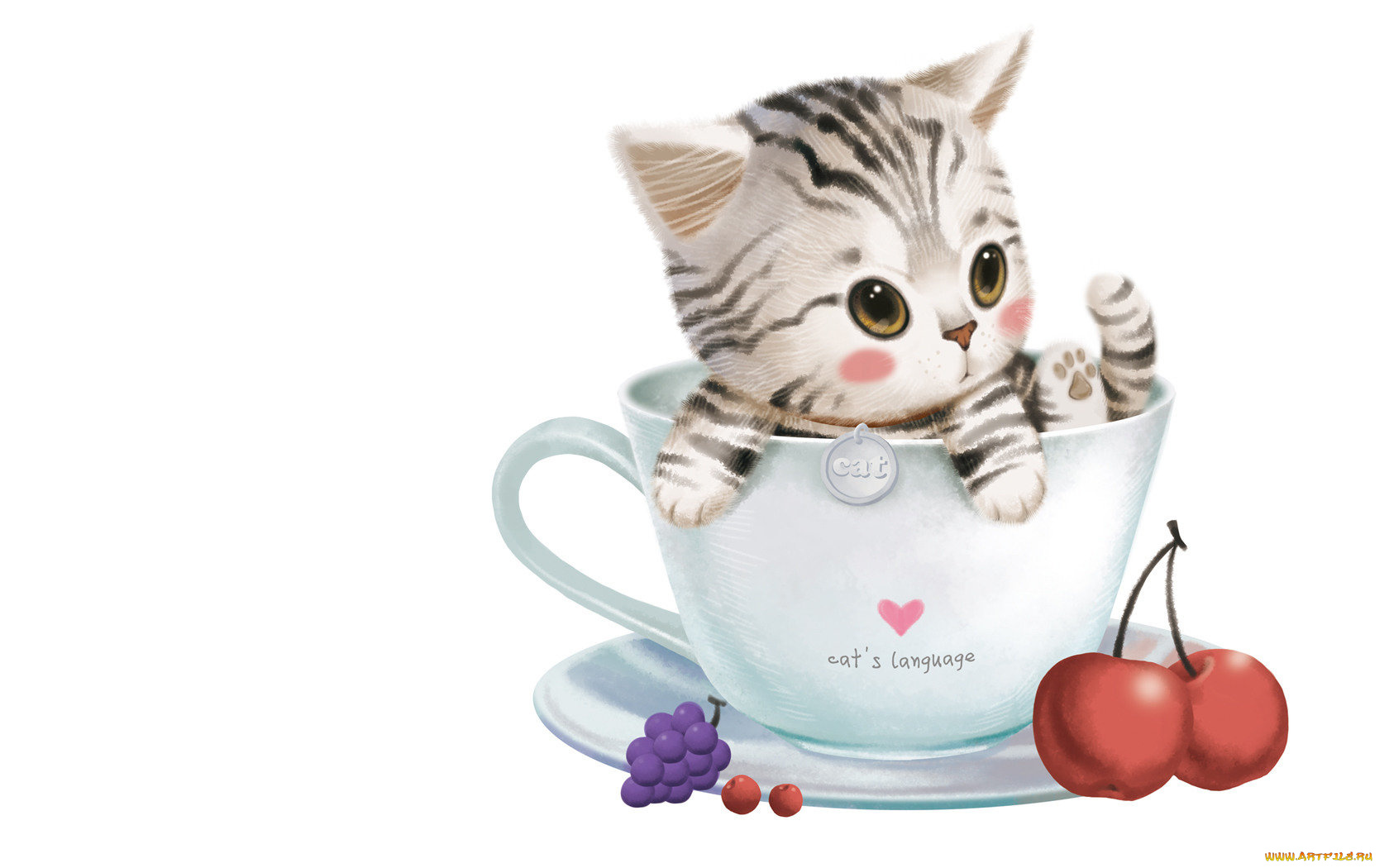 рисованные, животные, коты, чашка, котенок