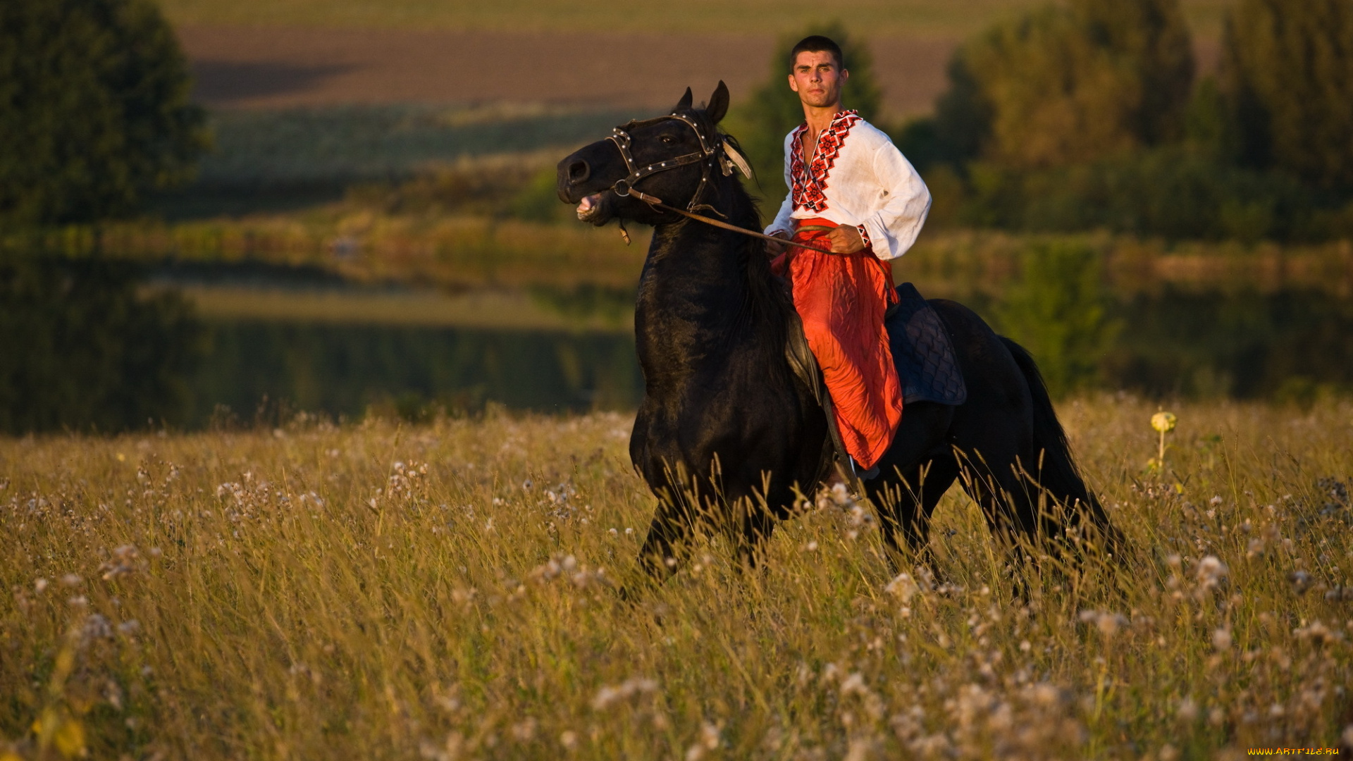 мужчины, unsort, луг, конь, хлопец