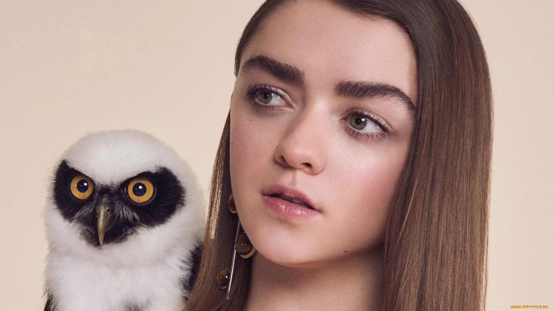 девушки, maisie, williams, сова