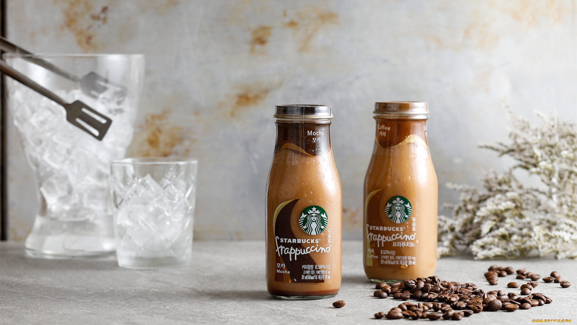 еда, кофе, , кофейные, зёрна, лед, кофейные, зерна, кофейный, напиток