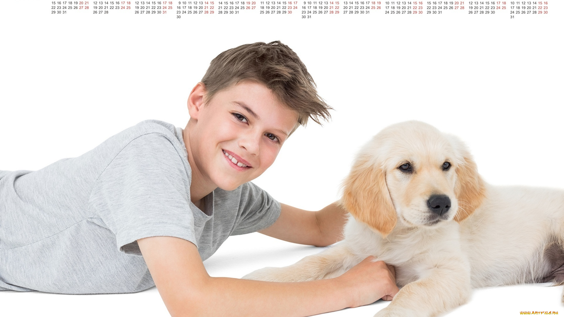 календари, дети, собака, мальчик, белый, фон