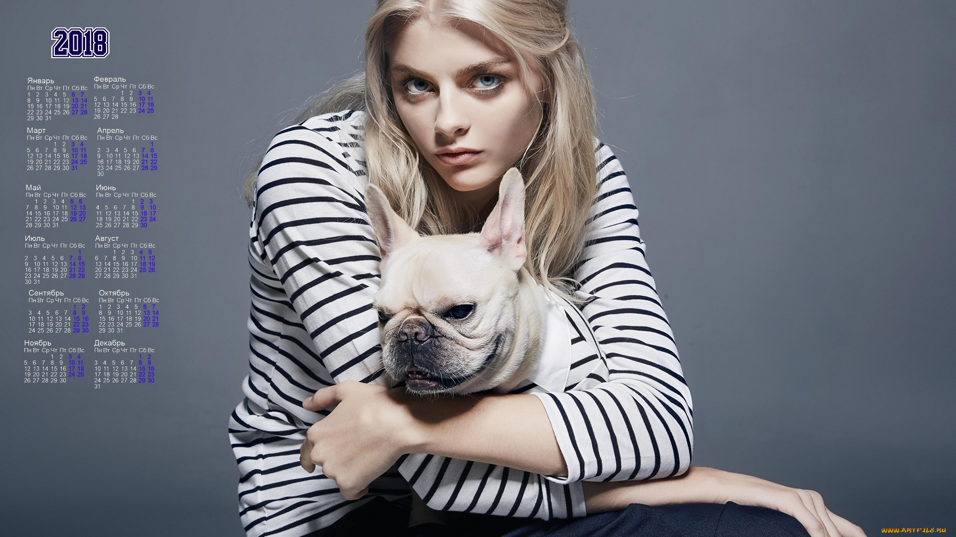 календари, девушки, взгляд, морда, собака