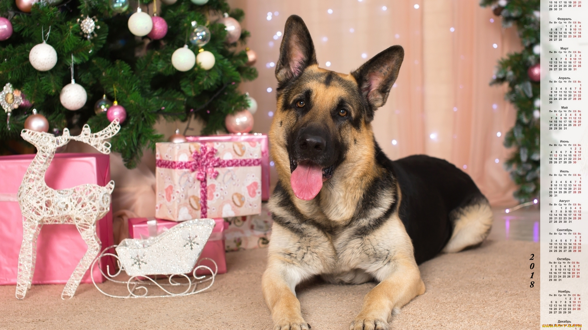 календари, животные, подарки, елка, игрушки, взгляд, овчарка, собака