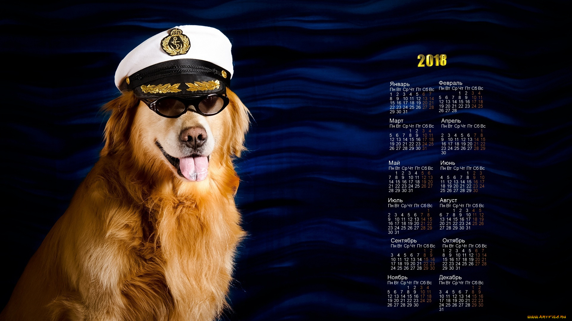 календари, животные, взгляд, собака, кепка