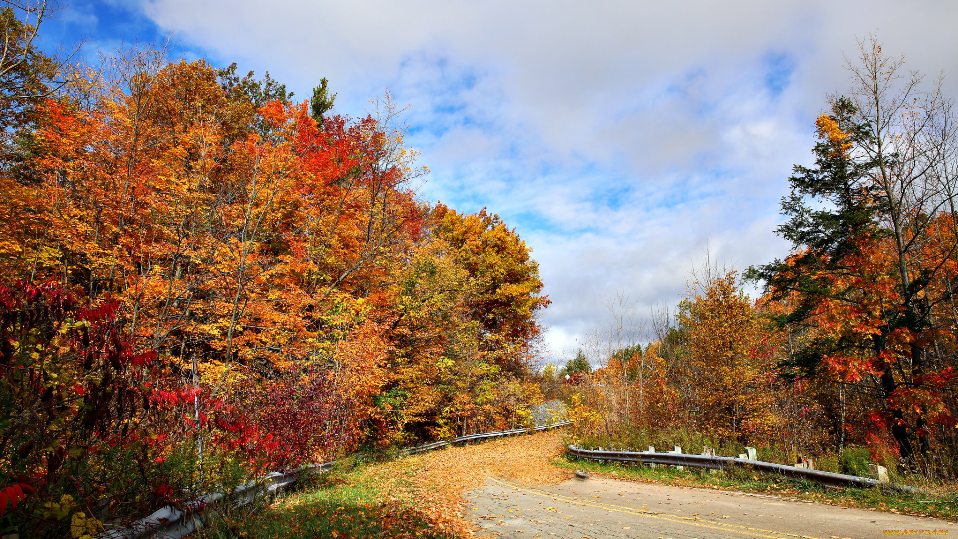 природа, дороги, простор