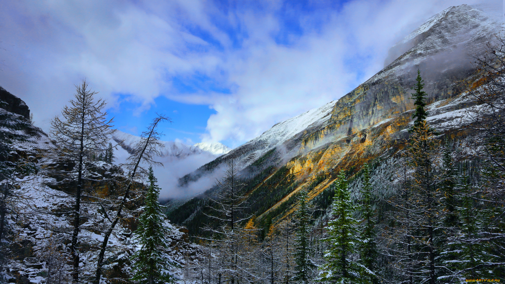 природа, горы, простор