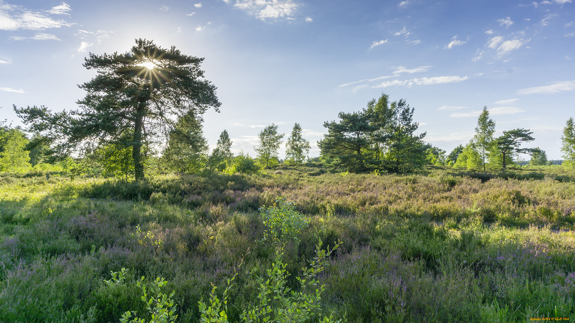 природа, пейзажи, простор