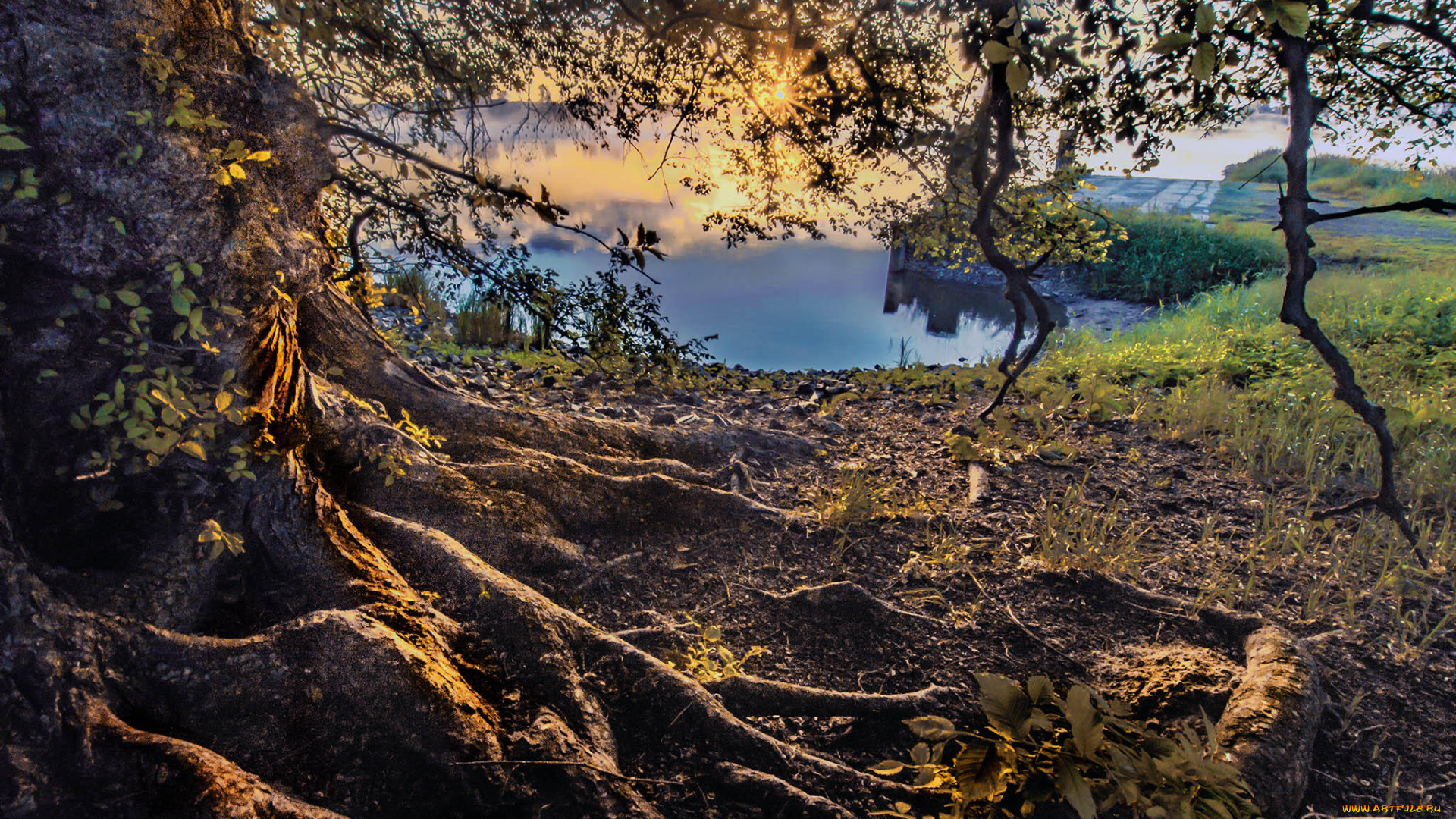 природа, пейзажи, простор