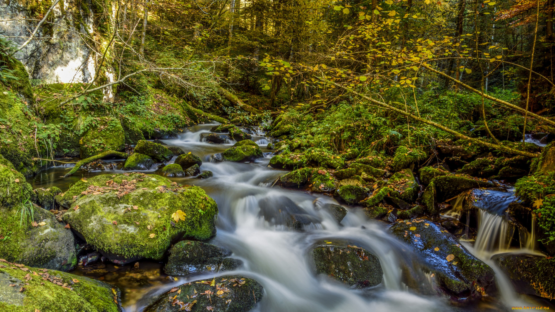природа, реки, озера, лес, камни, река, деревья, мох