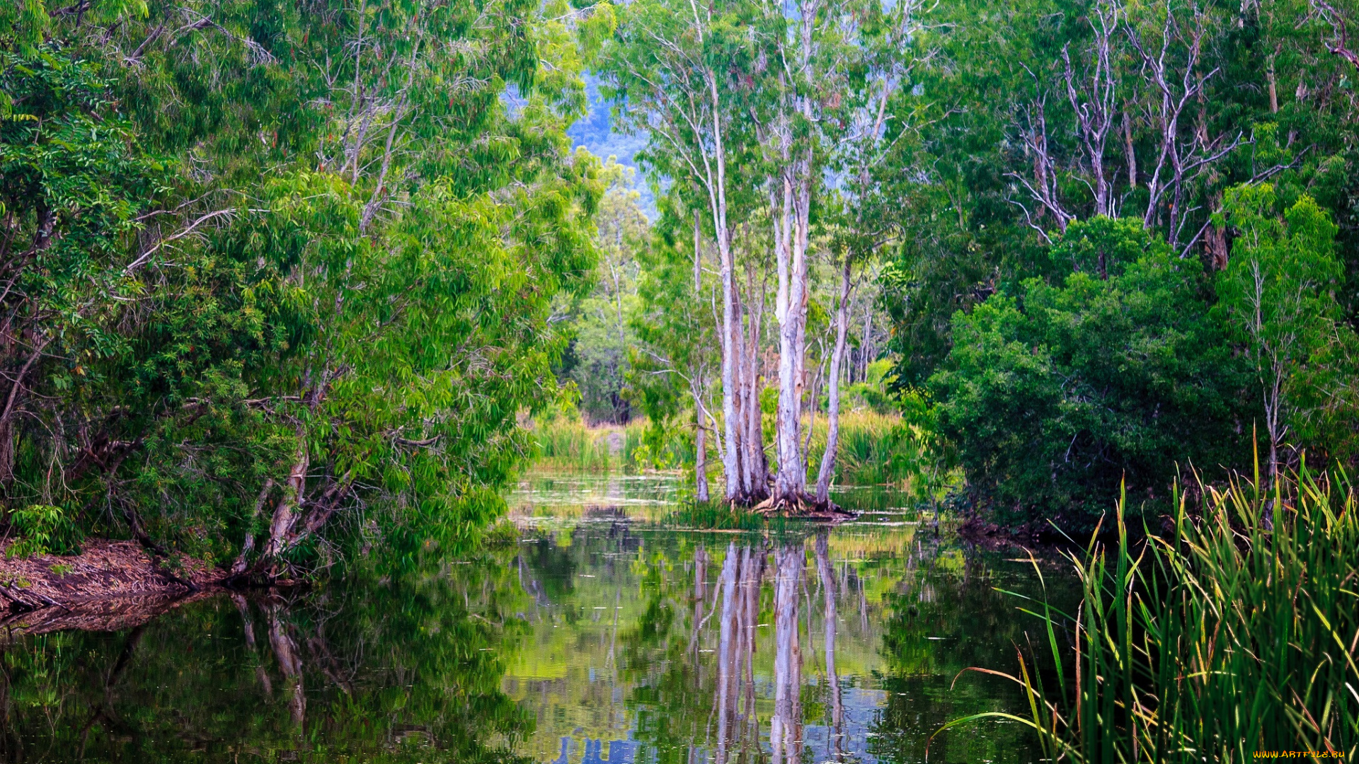 природа, реки, озера, простор