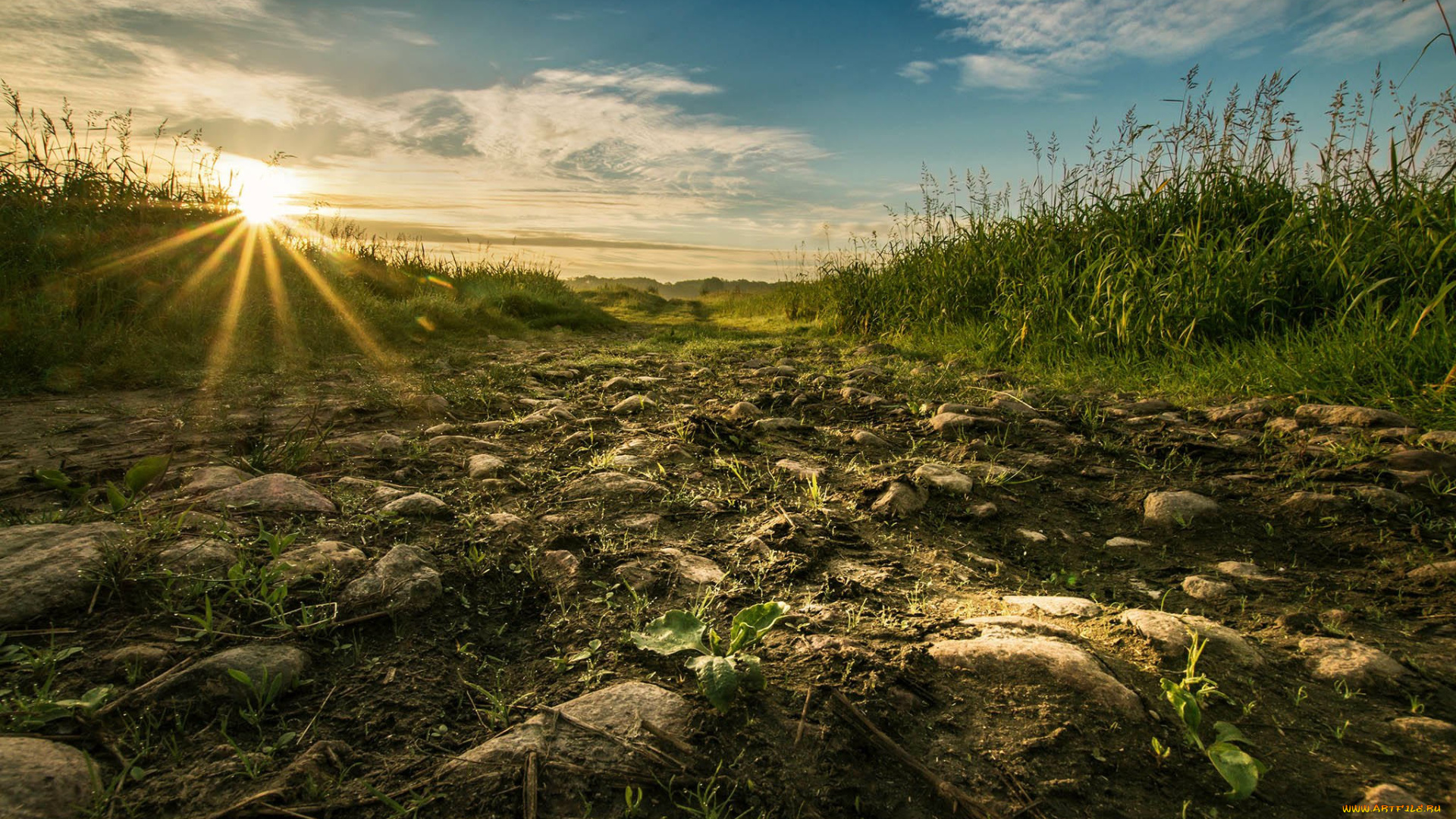 природа, восходы, закаты, простор