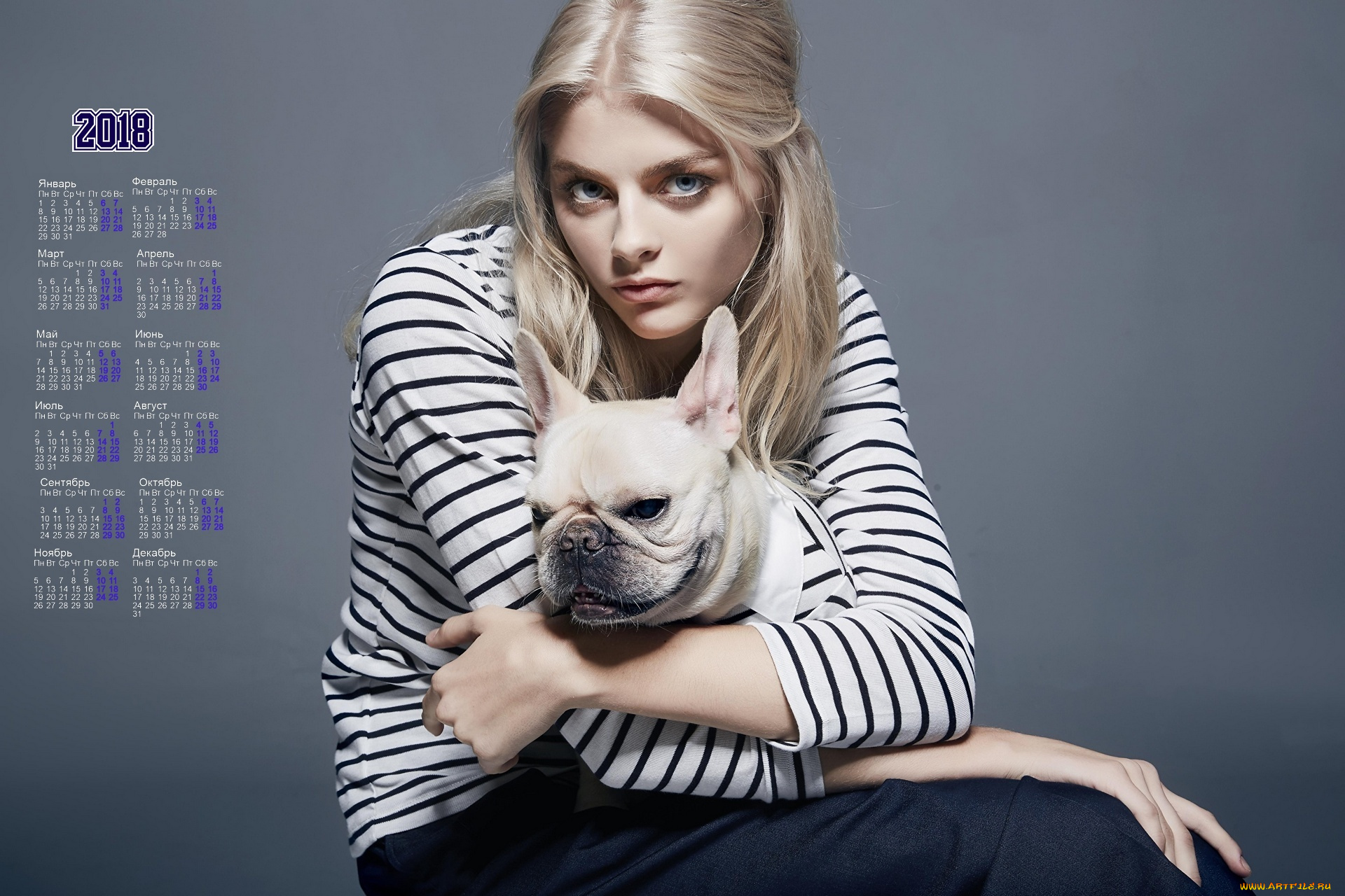 календари, девушки, взгляд, морда, собака