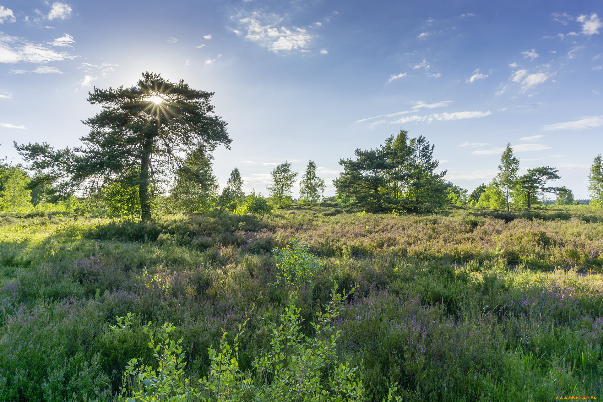 природа, пейзажи, простор
