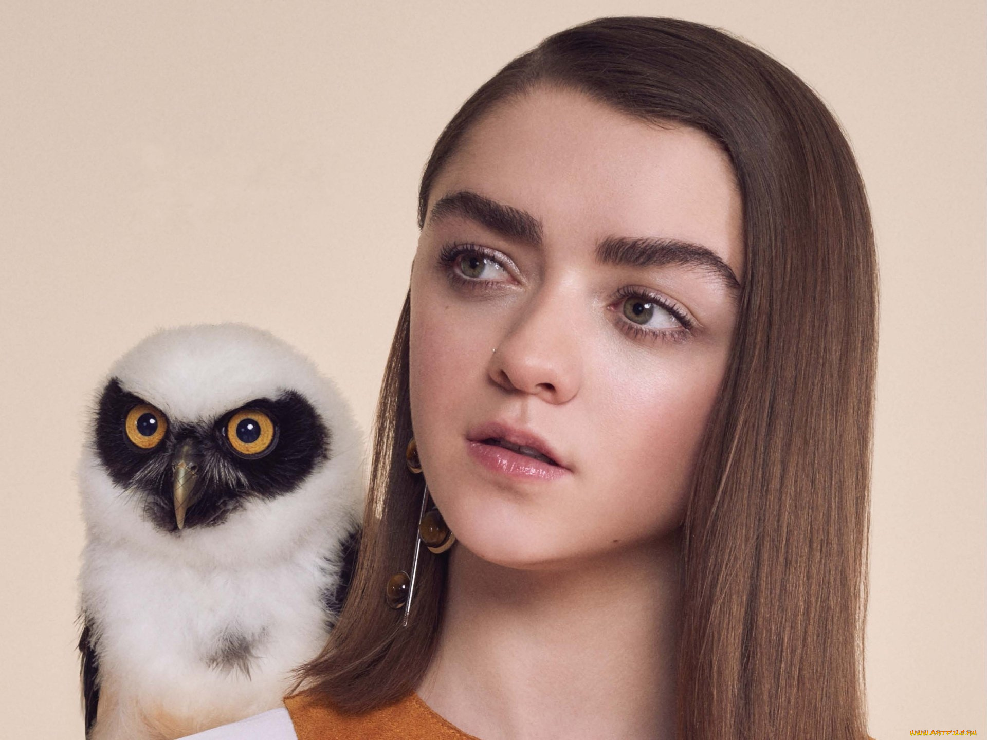 девушки, maisie, williams, сова