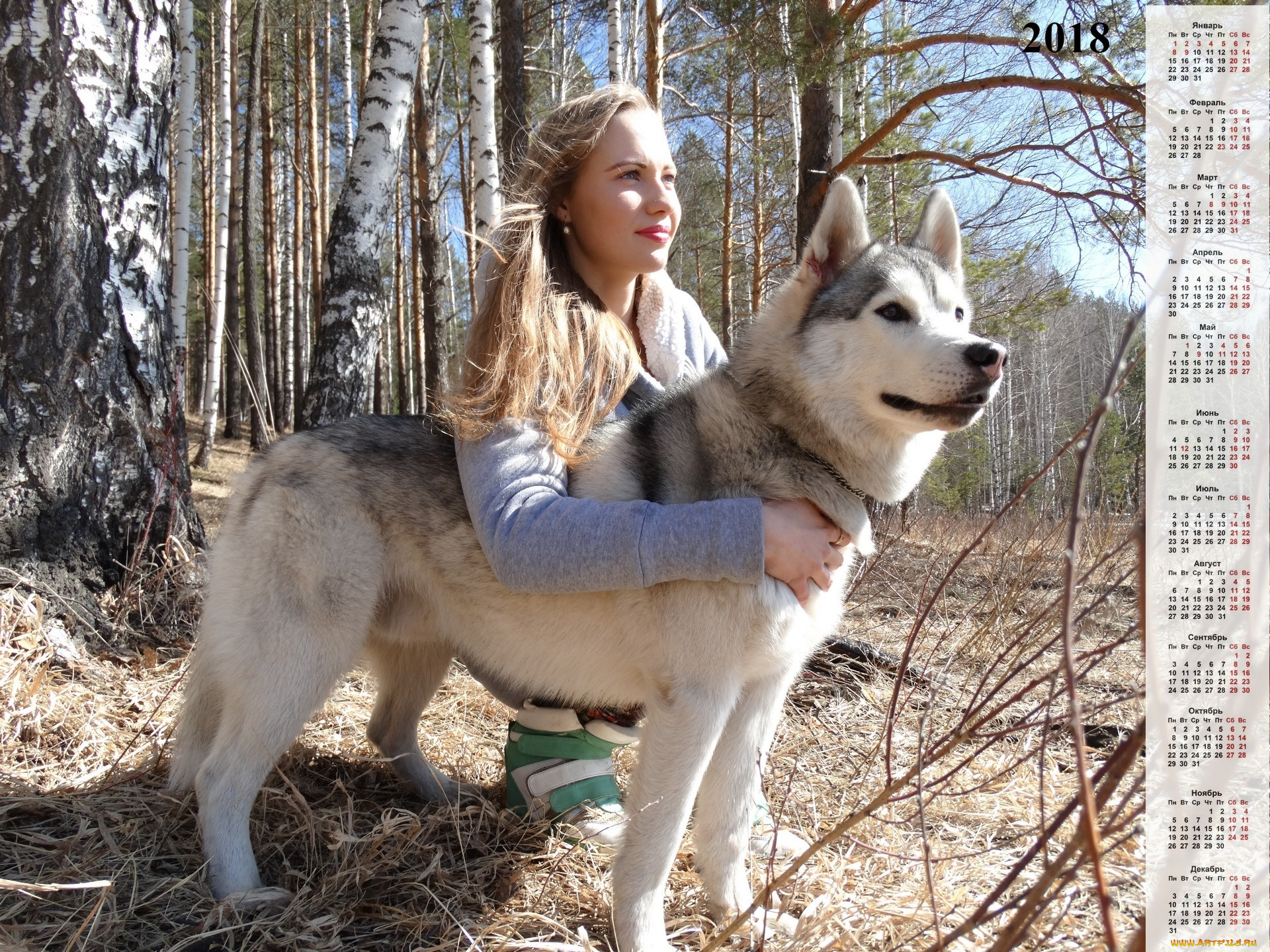 календари, девушки, растения, взгляд, собака